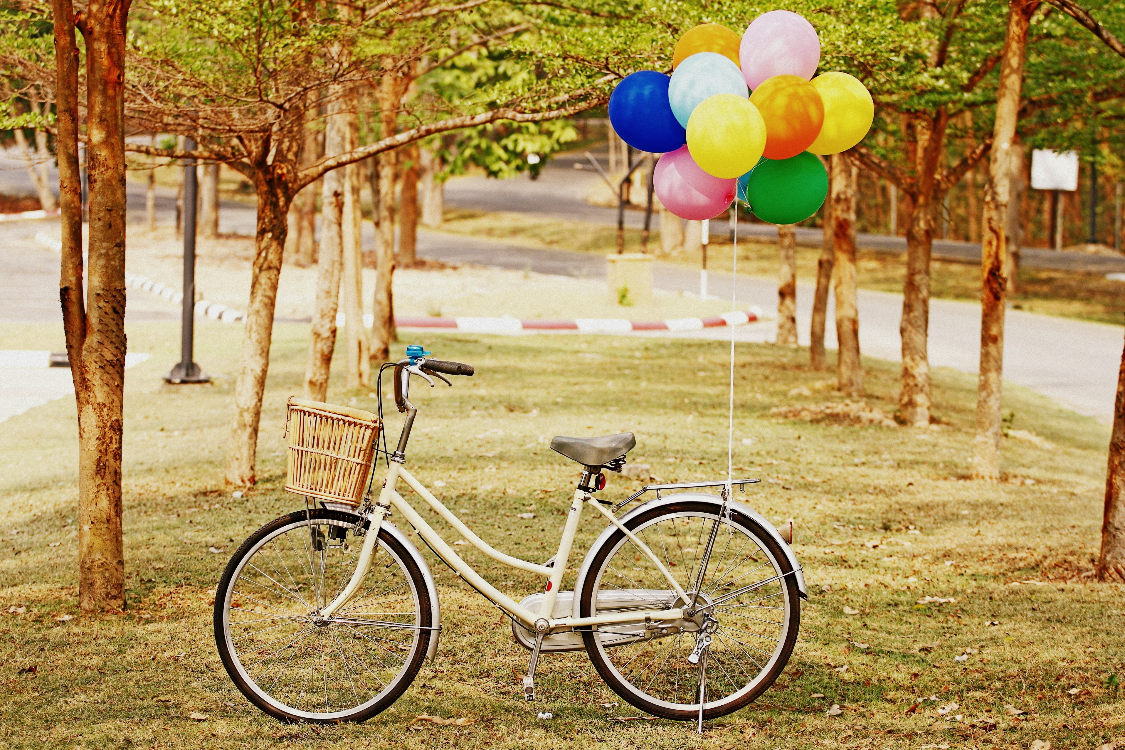 white bicycle, park, balloons, grass, outdoors, summer, retro Styled