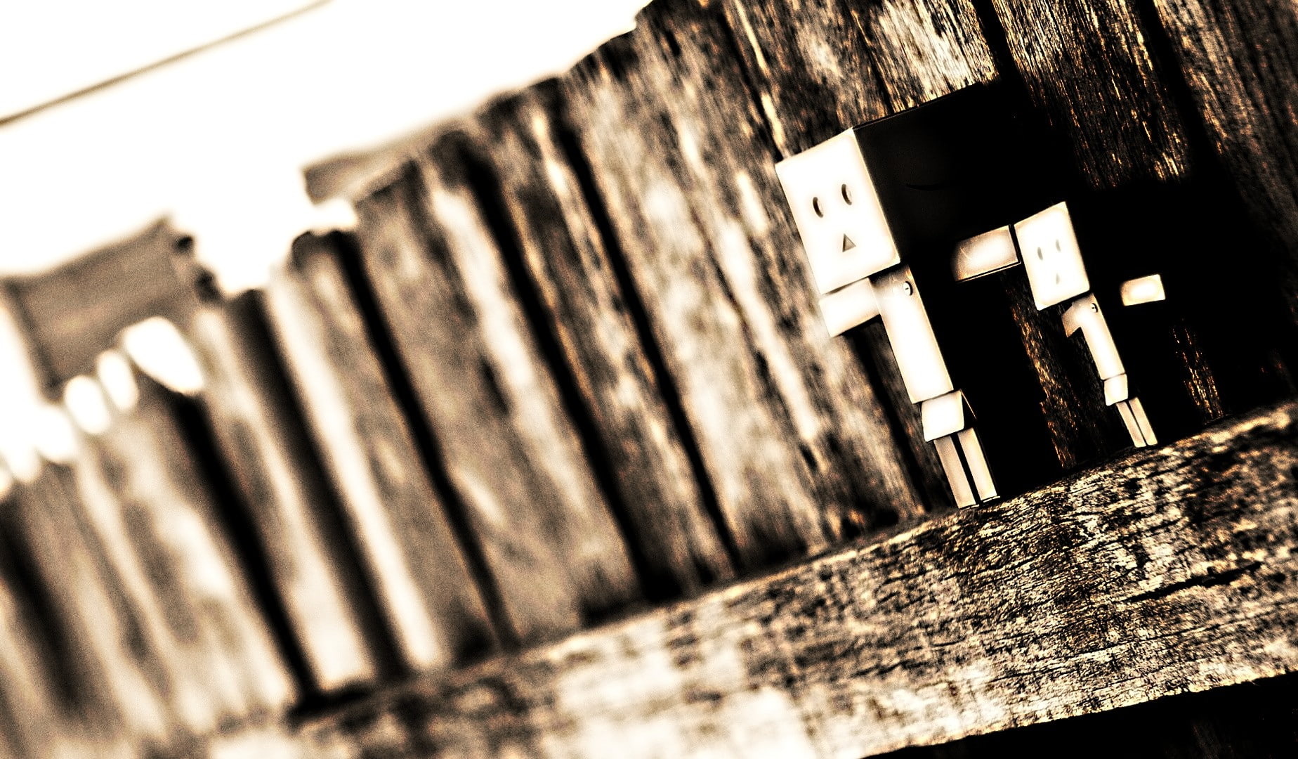 danbo