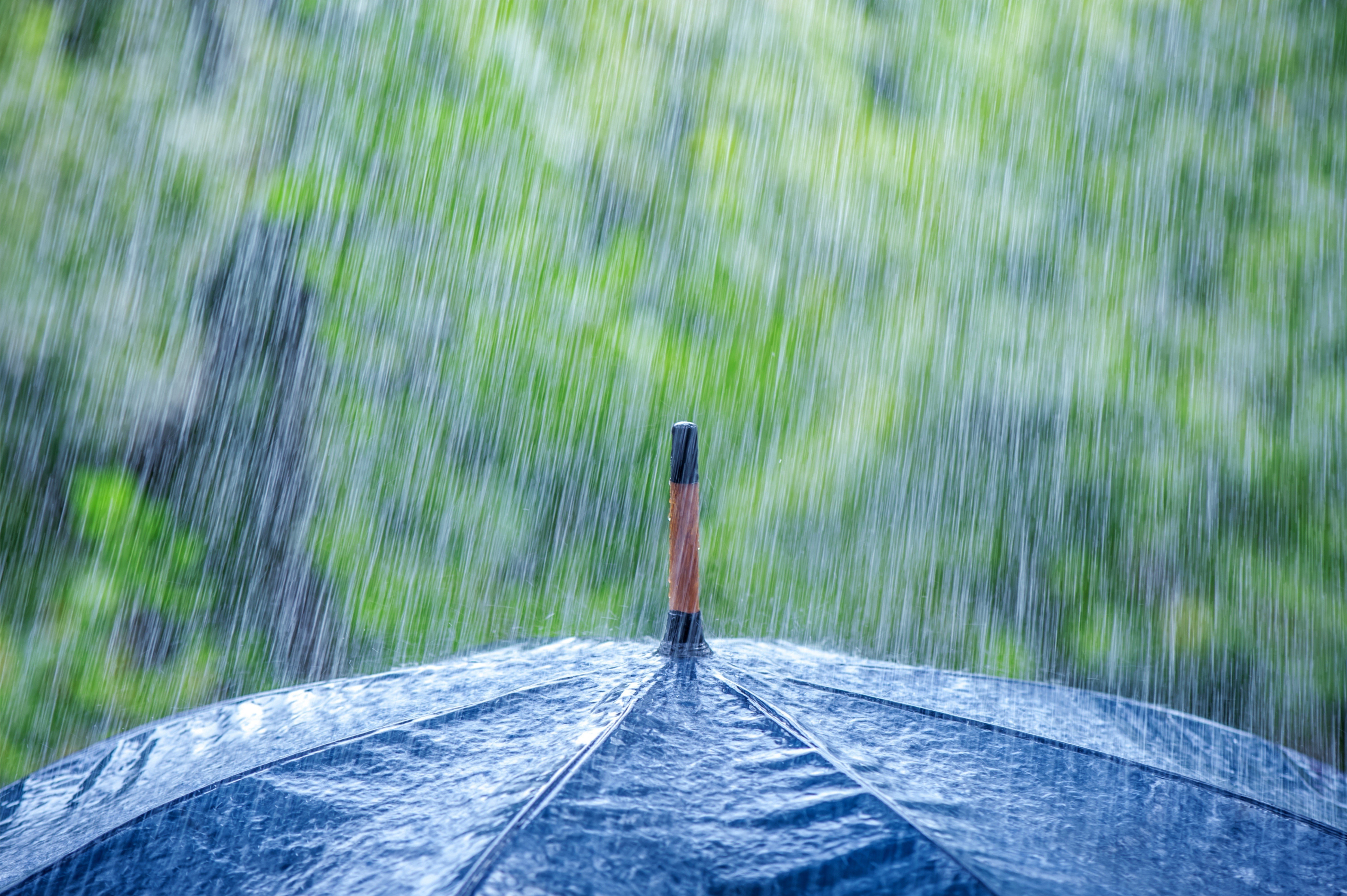 rain, umbrella