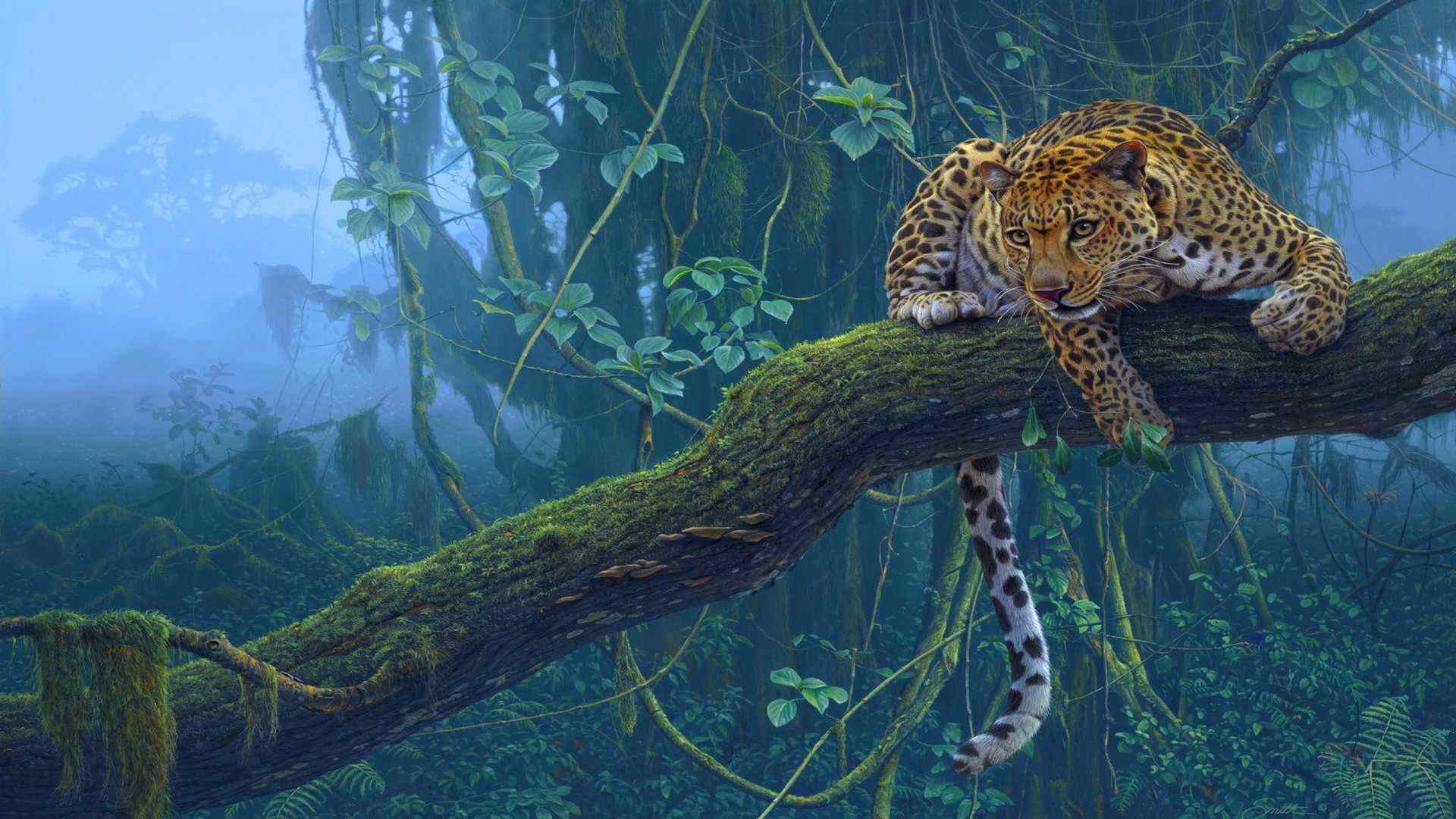 animals, big cat, leopard, feline, fur, vertebrate, jaguar