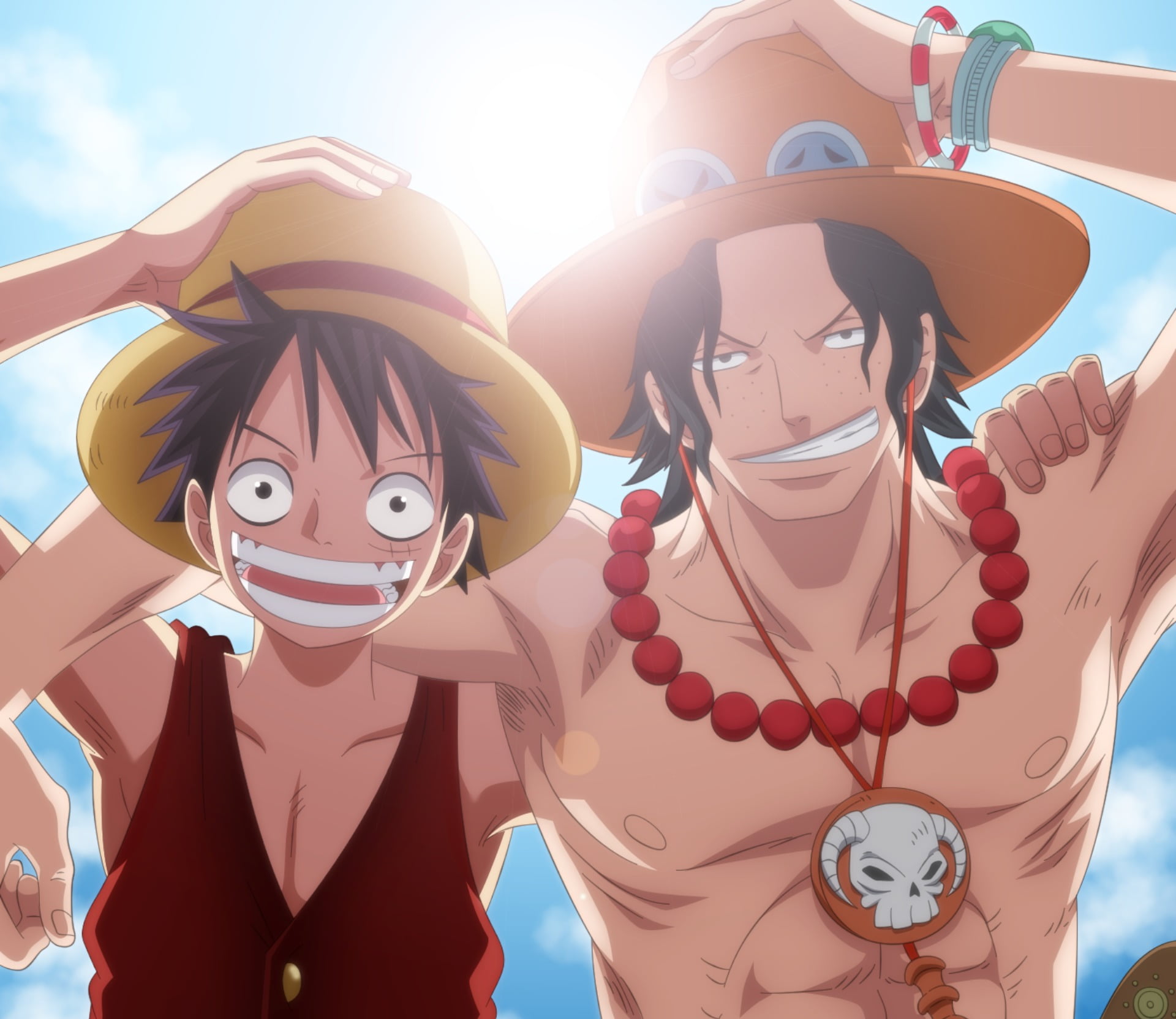 One Piece, Monkey D. Luffy, Portgas D. Ace, representation