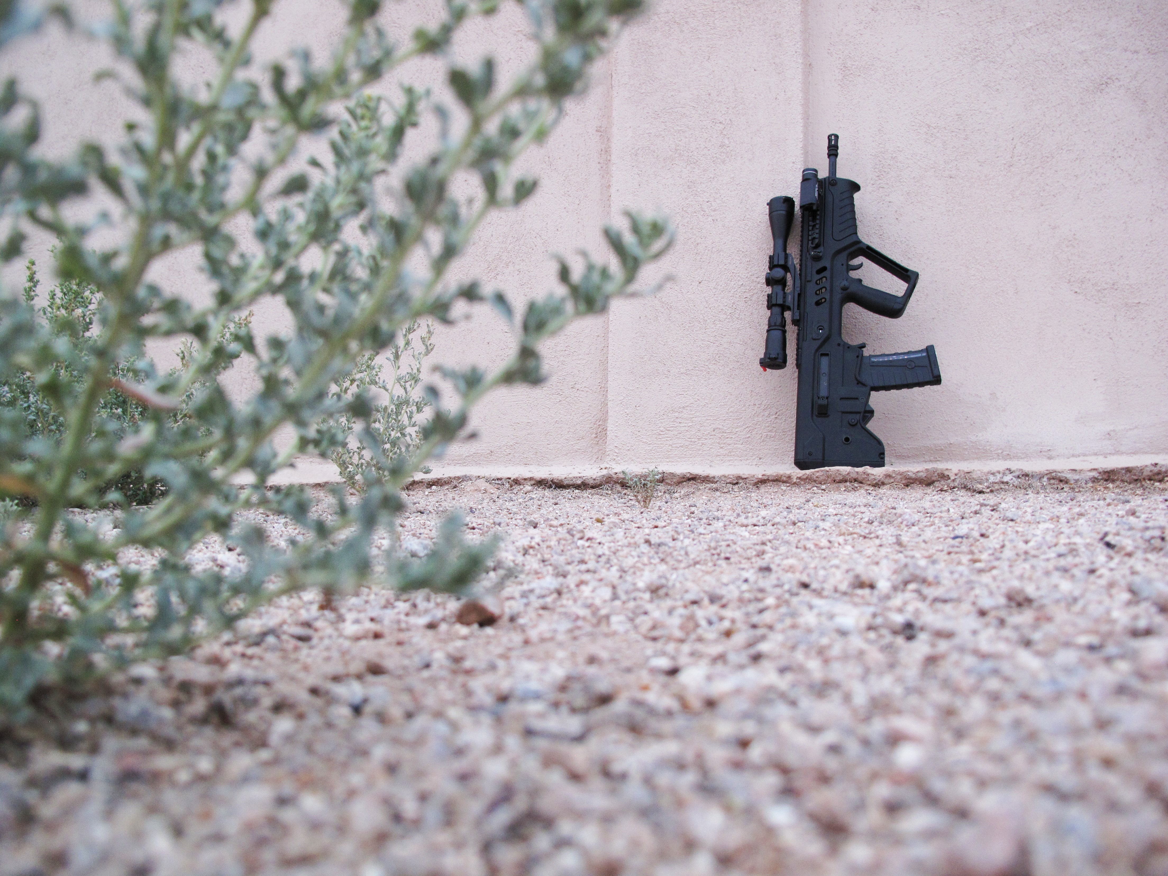 weapons, plant, day, selective focus, built structure, wall - building feature