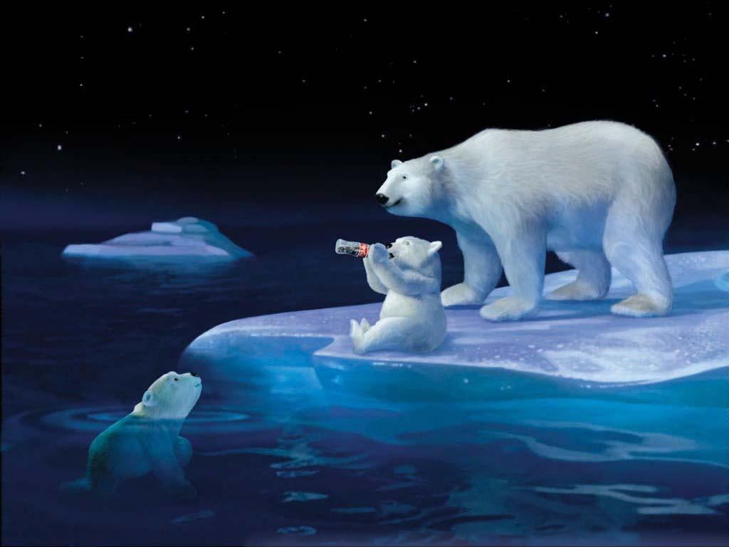 cocacola polar bears 1024x768  Animals Bears HD Art, Coca-Cola