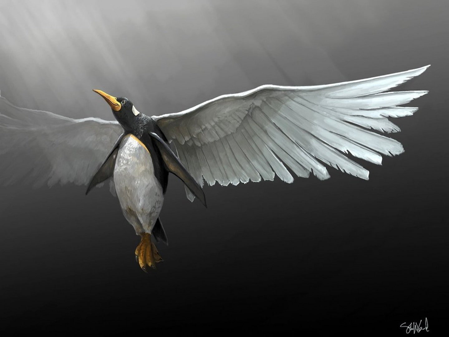 Linux, GNU