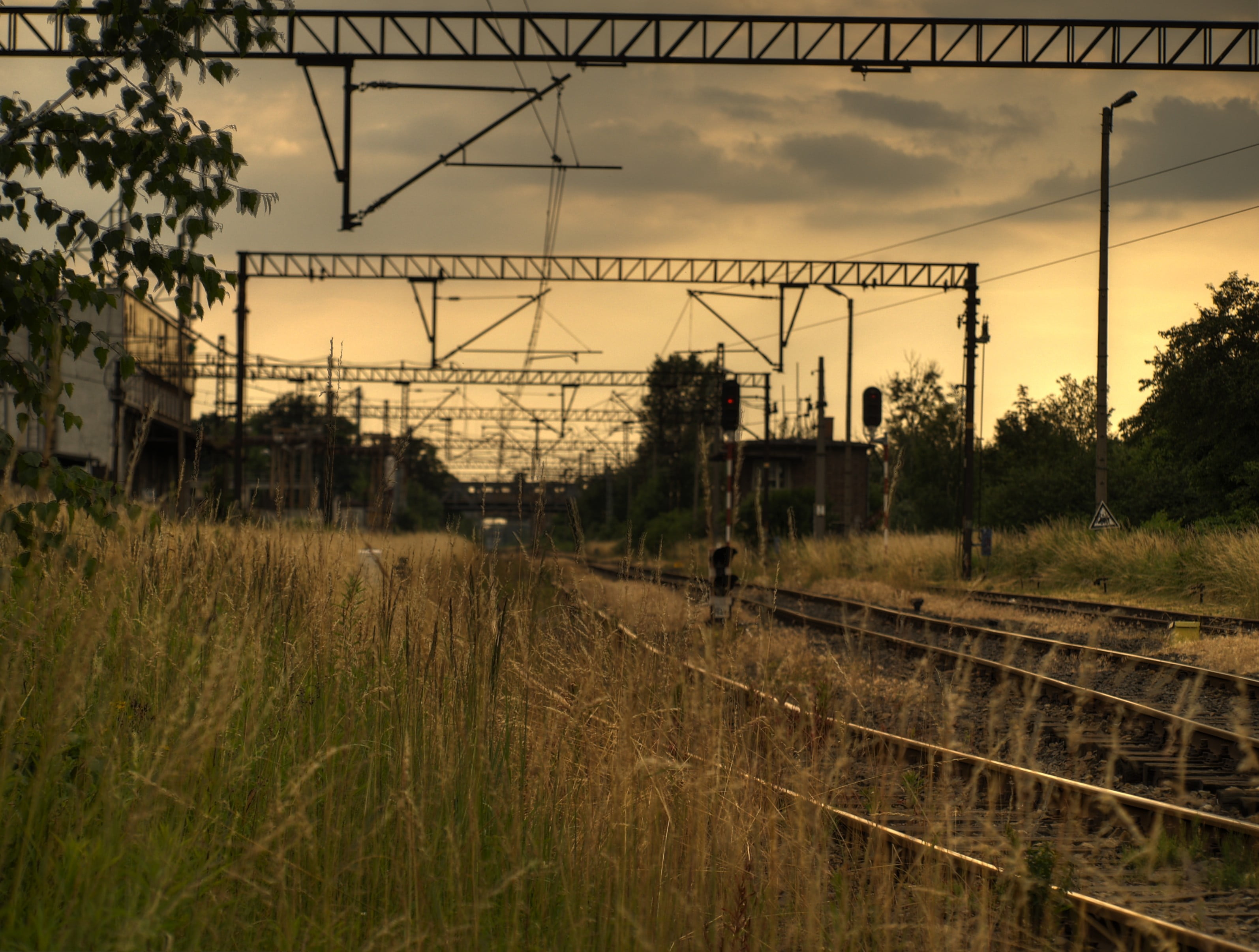 railways, power lines, outdoors, grass, dry grass, sky, rail transportation