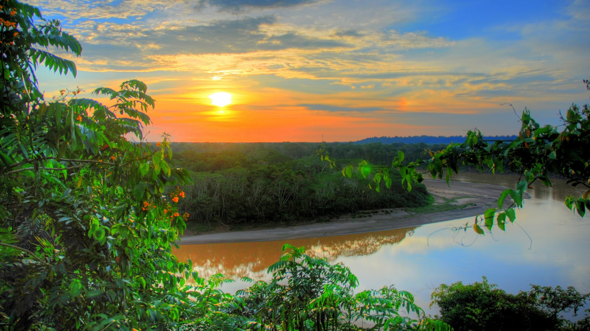 amazon river, amazon rainforest, tropical forest, tropics, landscape