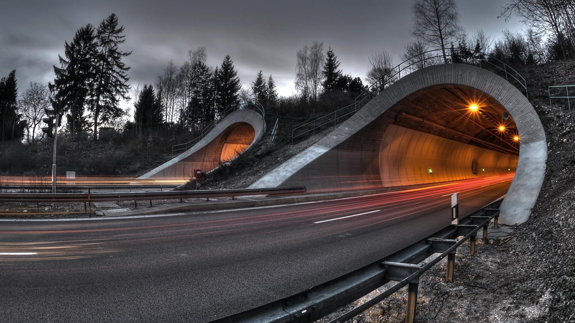 time lapsed photography of tunnel road surrounded by trees, selective coloring