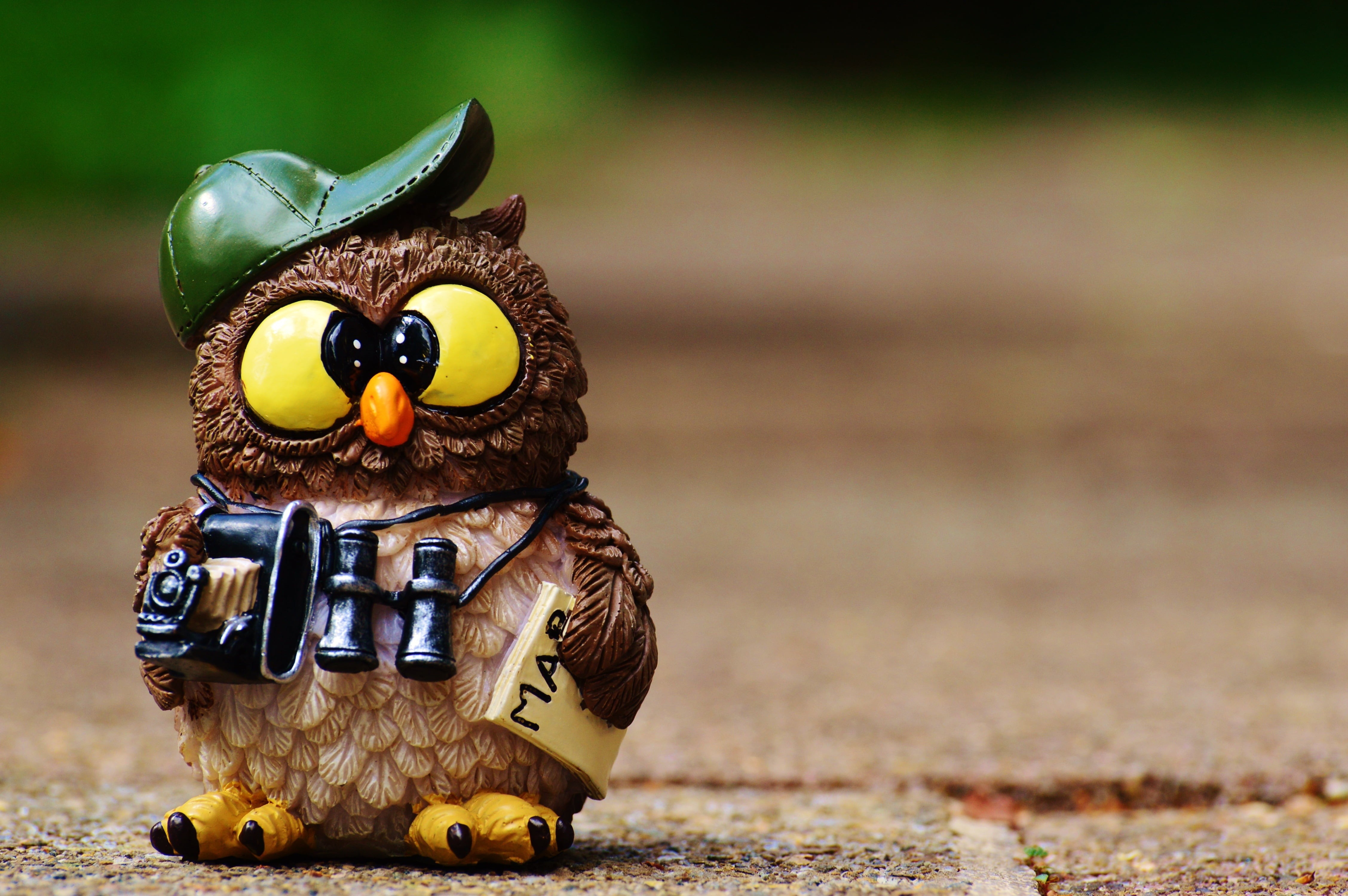 brown owl wearing cap figurine, binoculars, animal, bird, wildlife