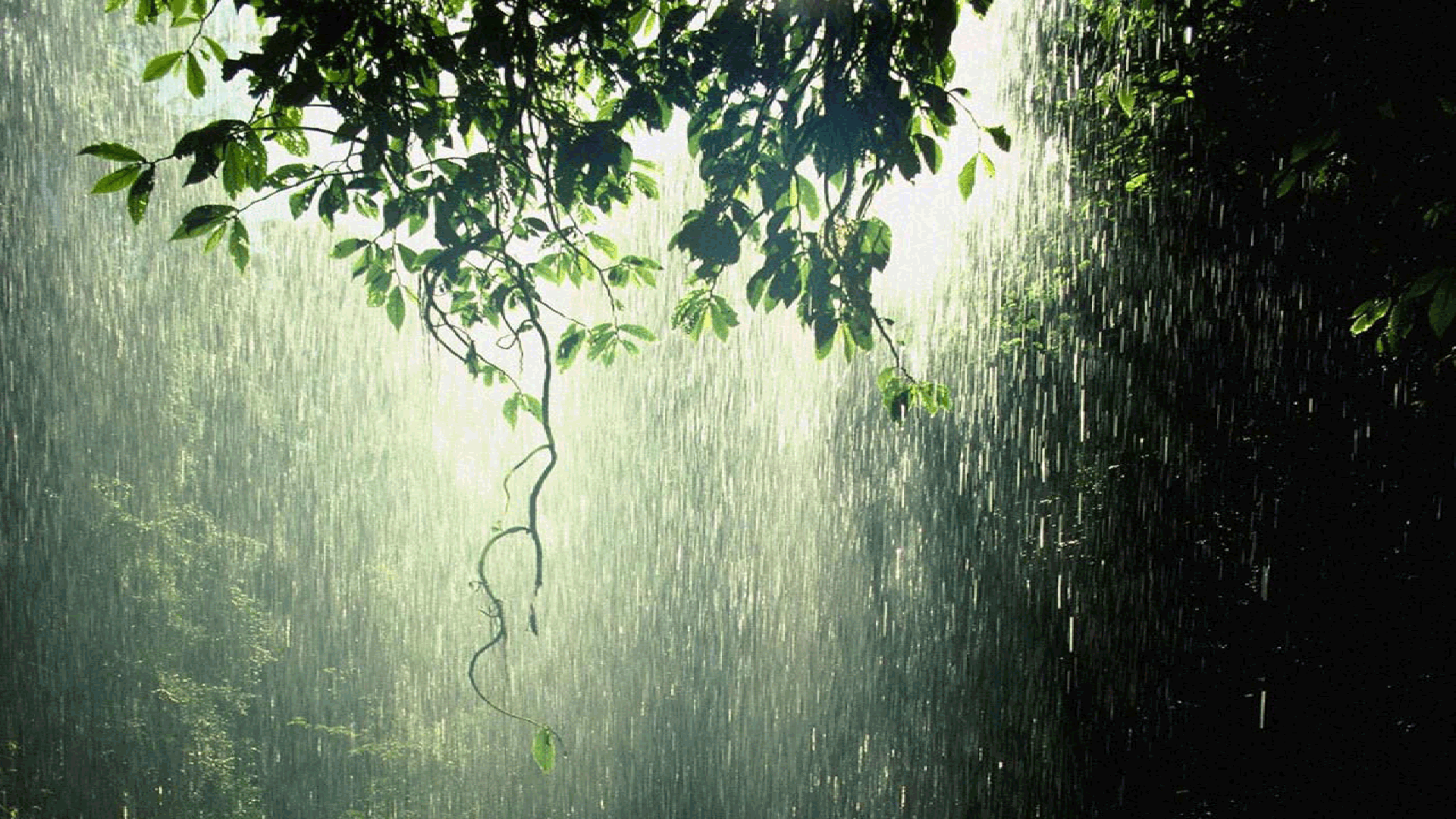cloud, rain, raining, sad, water drops