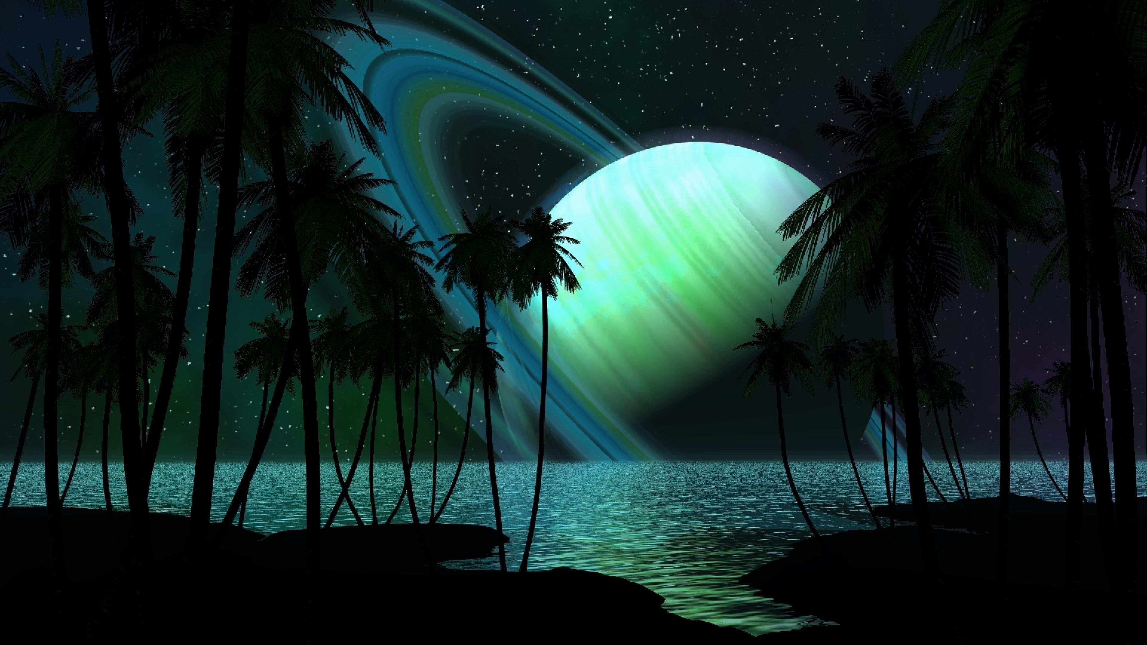 planet, space art, night sky, palms, coast, palm tree, cool