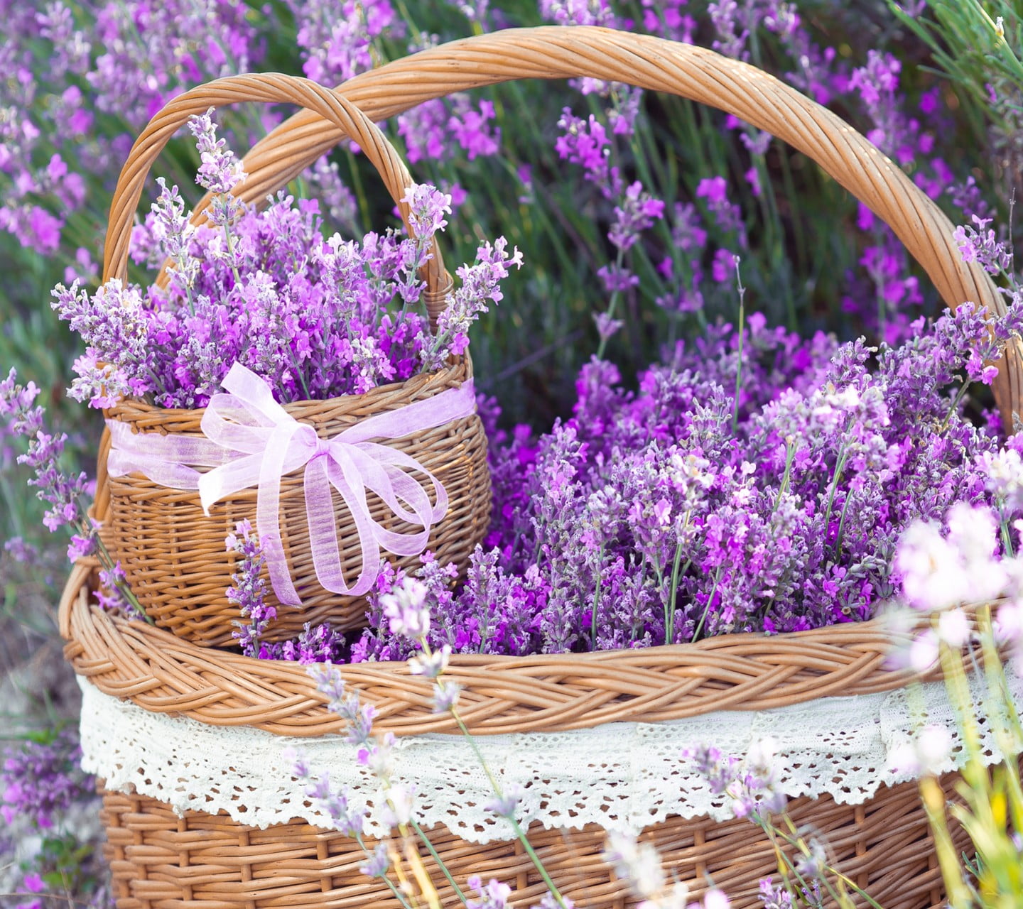 two round wicker brown baskets, flowers, lavender, purple flowers