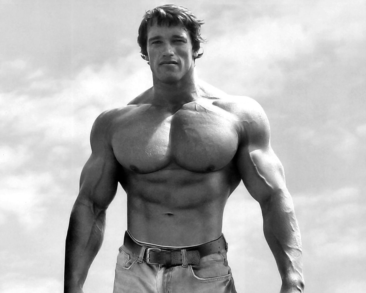 Bodybuilder, gyms, muscular, Arnold Schwarzenegger