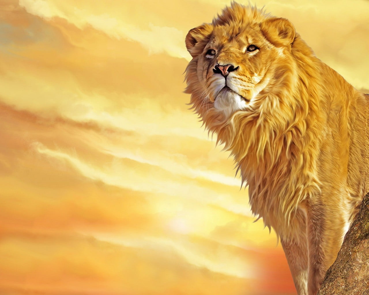 lion illustration, yellow, mane, Leo, the king of beasts, lion - Feline