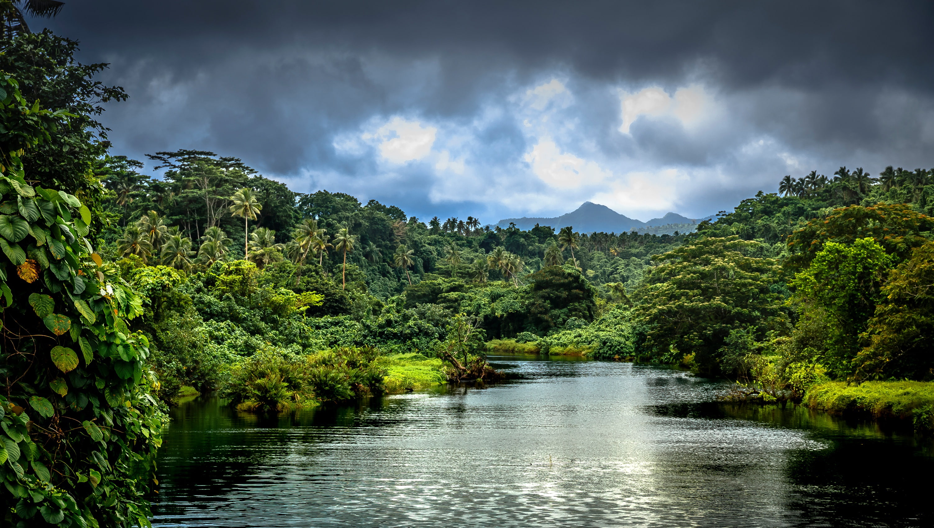 greens, forest, clouds, trees, mountains, tropics, river, palm trees