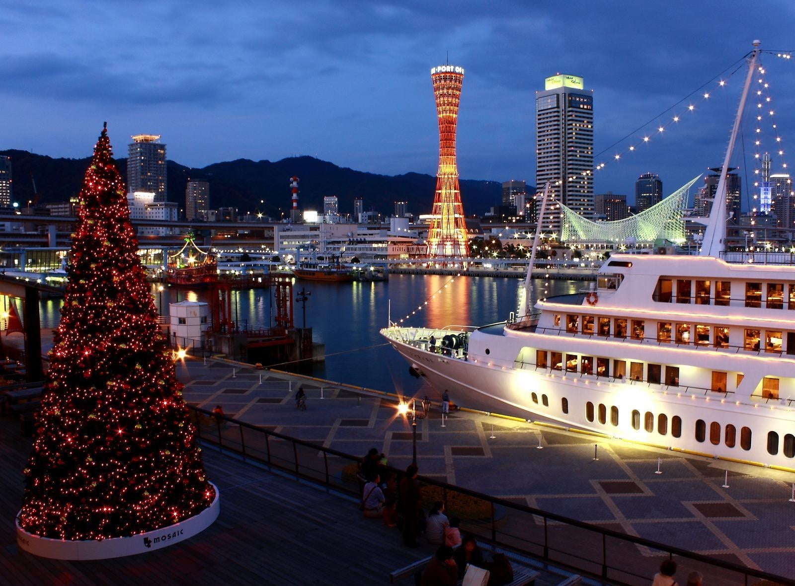 white cruise ship, tree, holiday, port, night, lights, famous Place