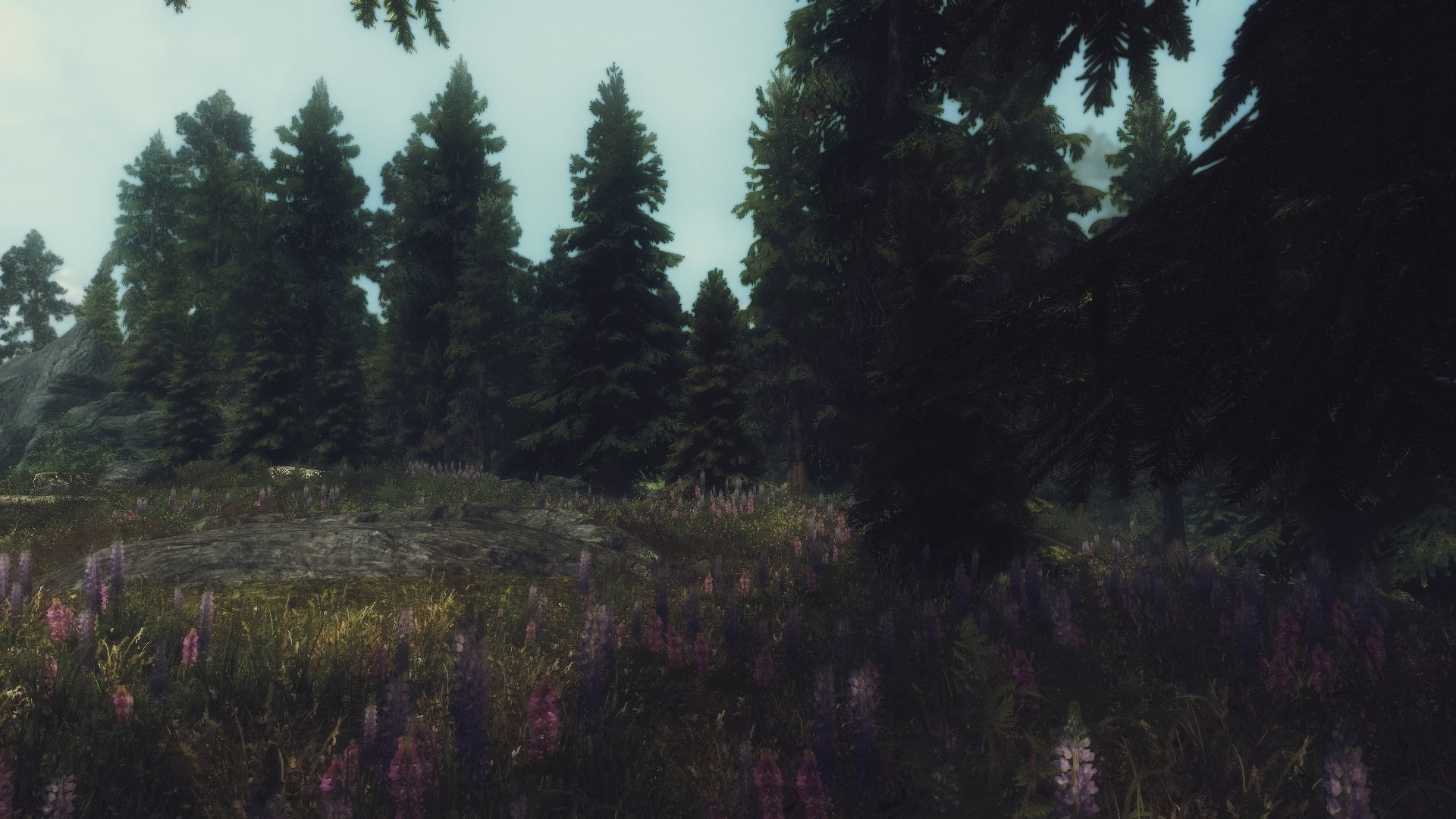 landscape, The Elder Scrolls V: Skyrim, plant, tree, growth