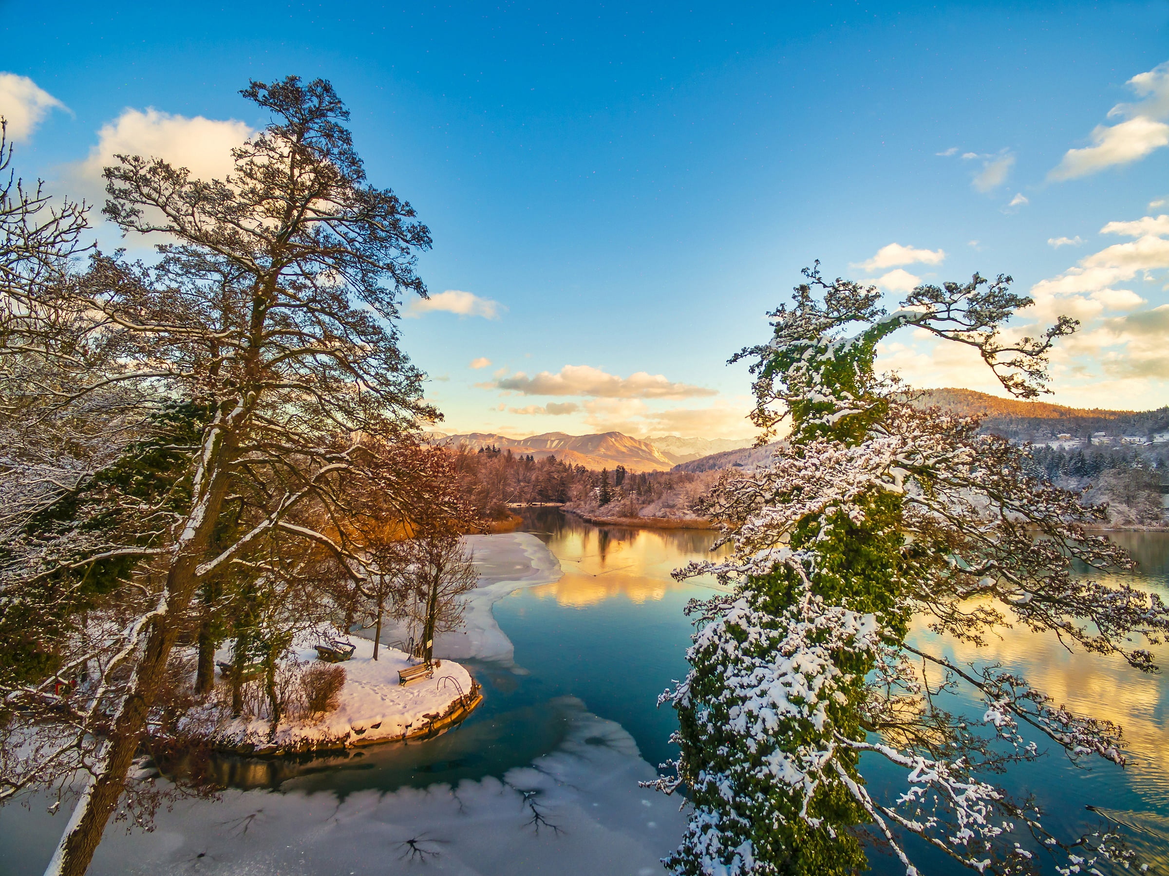 winter, trees, lake, Austria, panorama, pine, Wörthersee, Carinthia