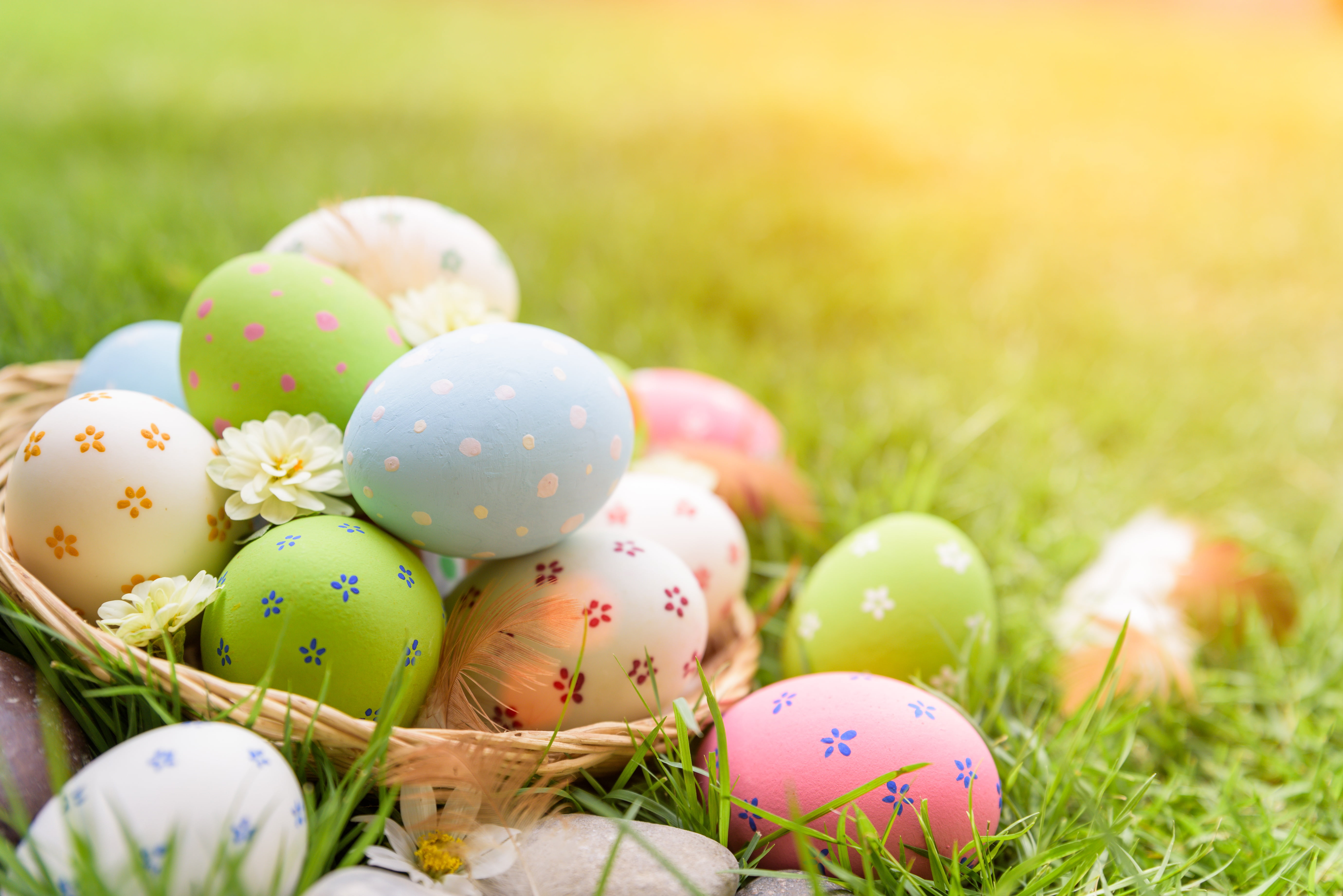 grass, flowers, eggs, Easter, happy, decoration