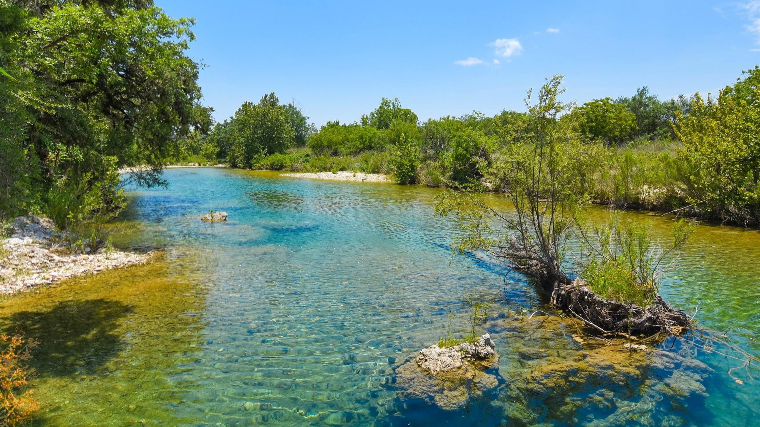 River And Texas Usa Frio River Green River With Clear Water Rocks Gravel Green Nature Trees Landscape Wallpaper Hd 2560×1440