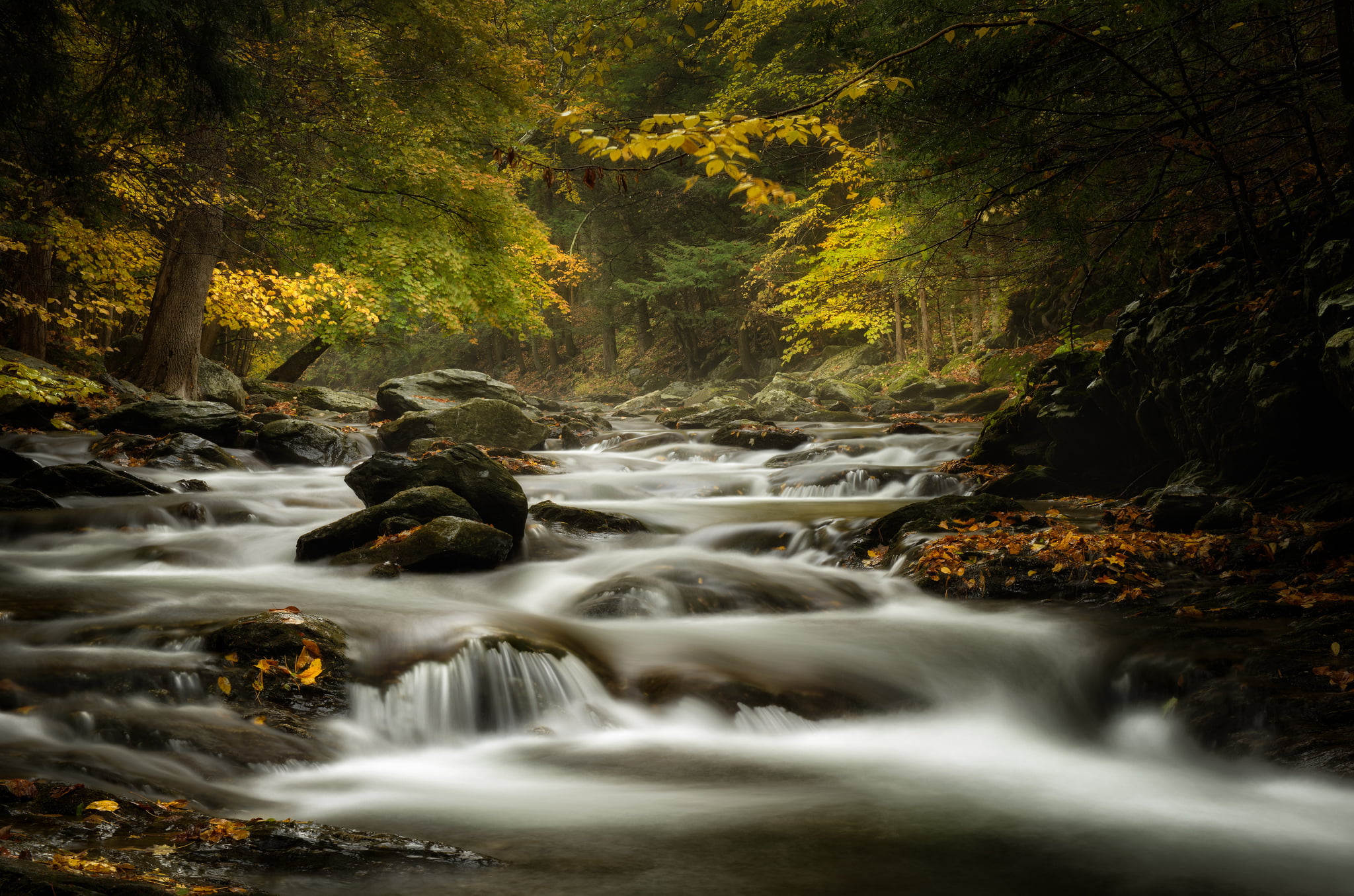 autumn, forest, river, stream, stones, Massachusetts, Bash Bish Brook