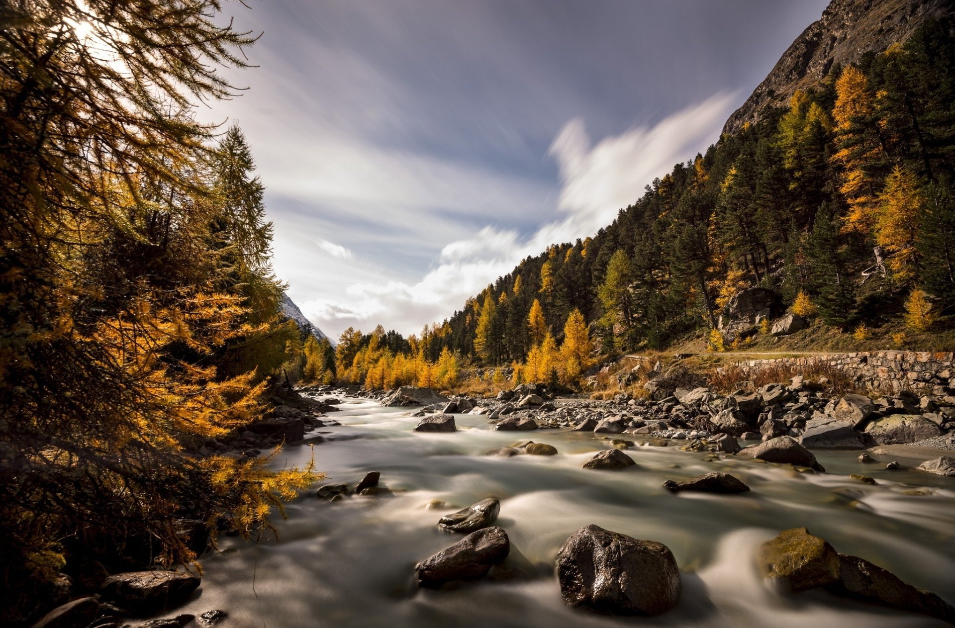 Earth, Stream, Fall, Forest
