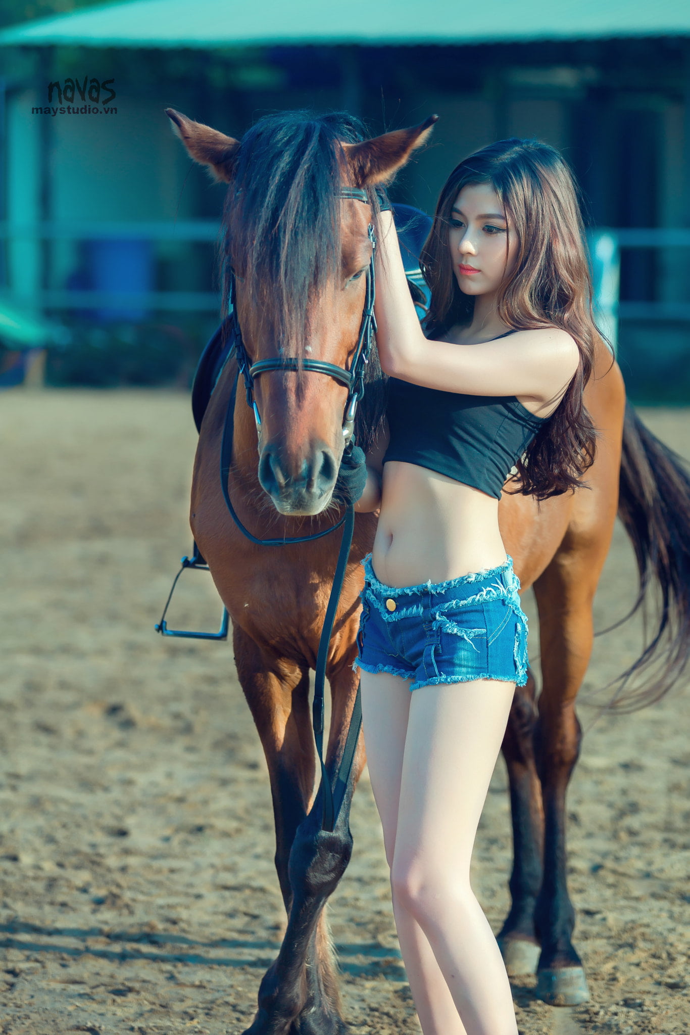 Asian, hot pants, horse