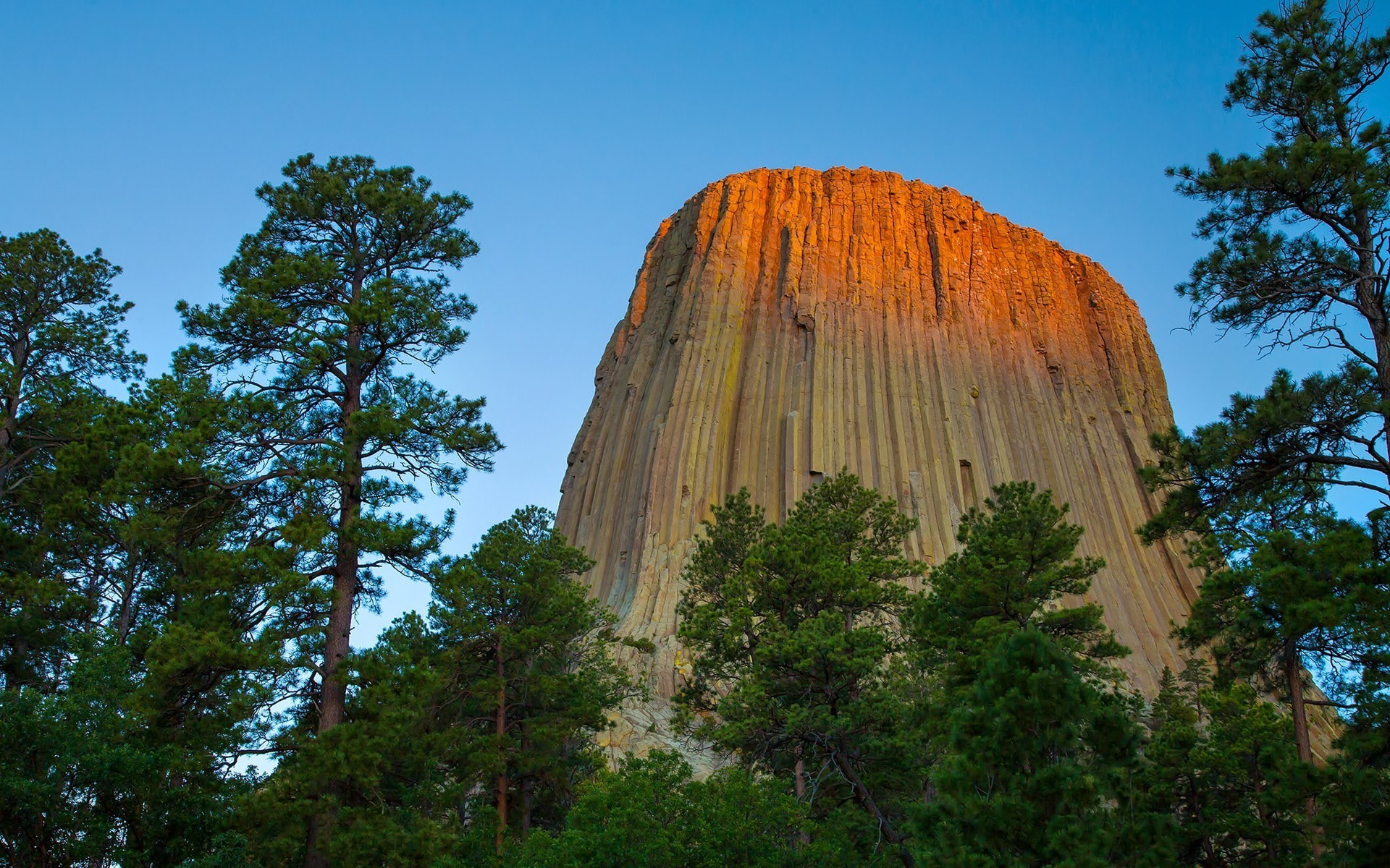 Devils Tower, forest, Monuments, Rock Formation, Wyoming