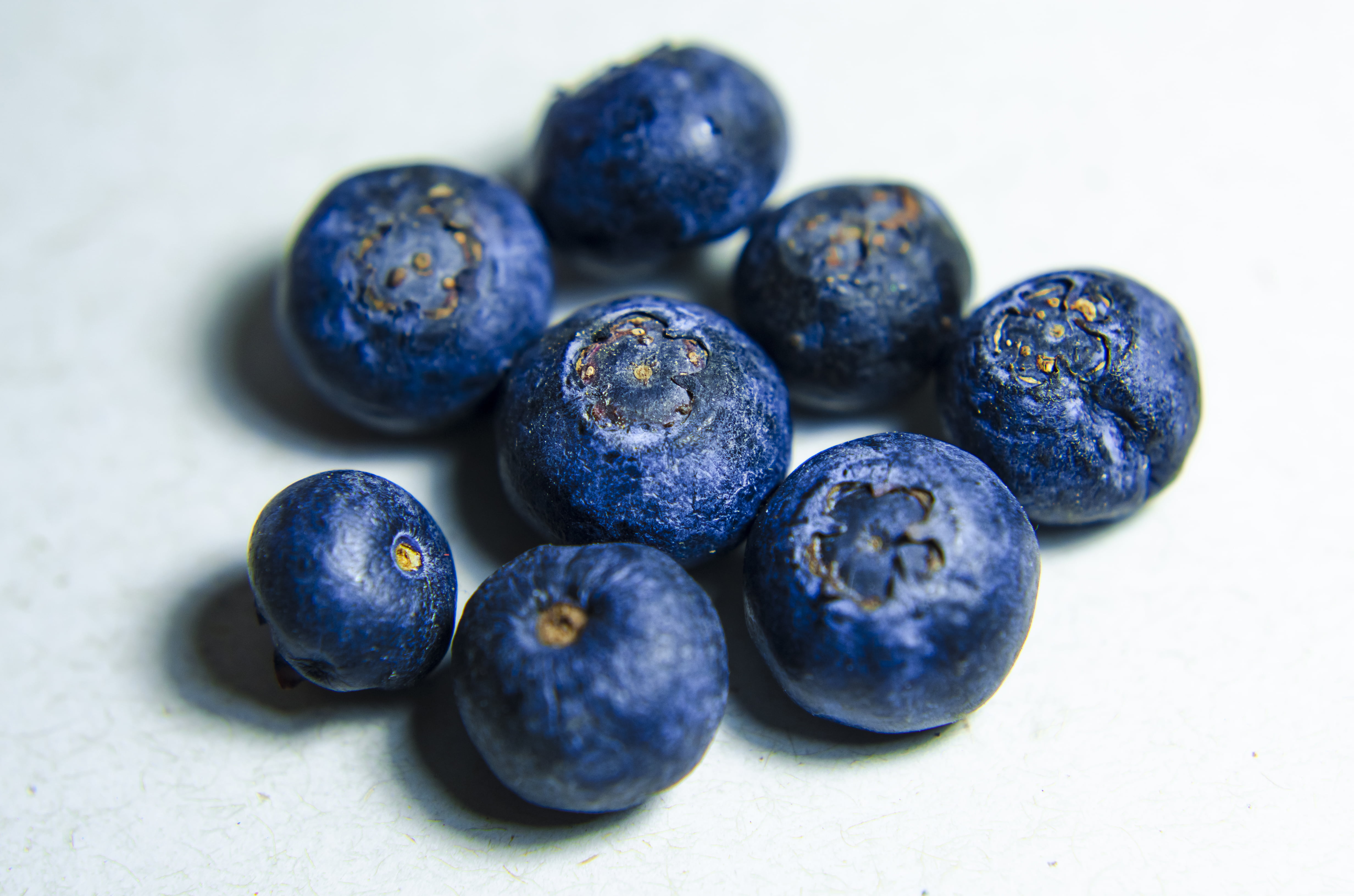 blueberry fruit, blueberries, close-up, food, food and drink