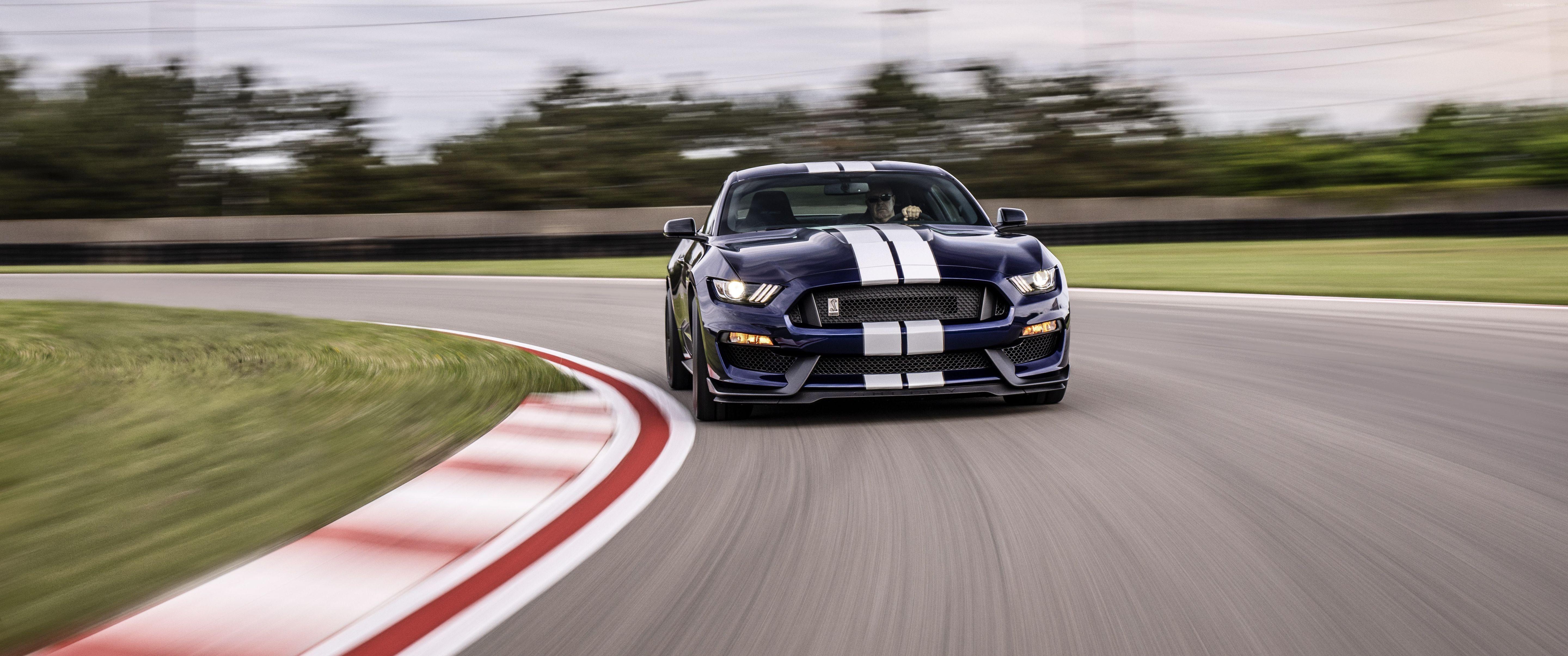 Ford Mustang Shelby GT350, 4K, 2019 Cars