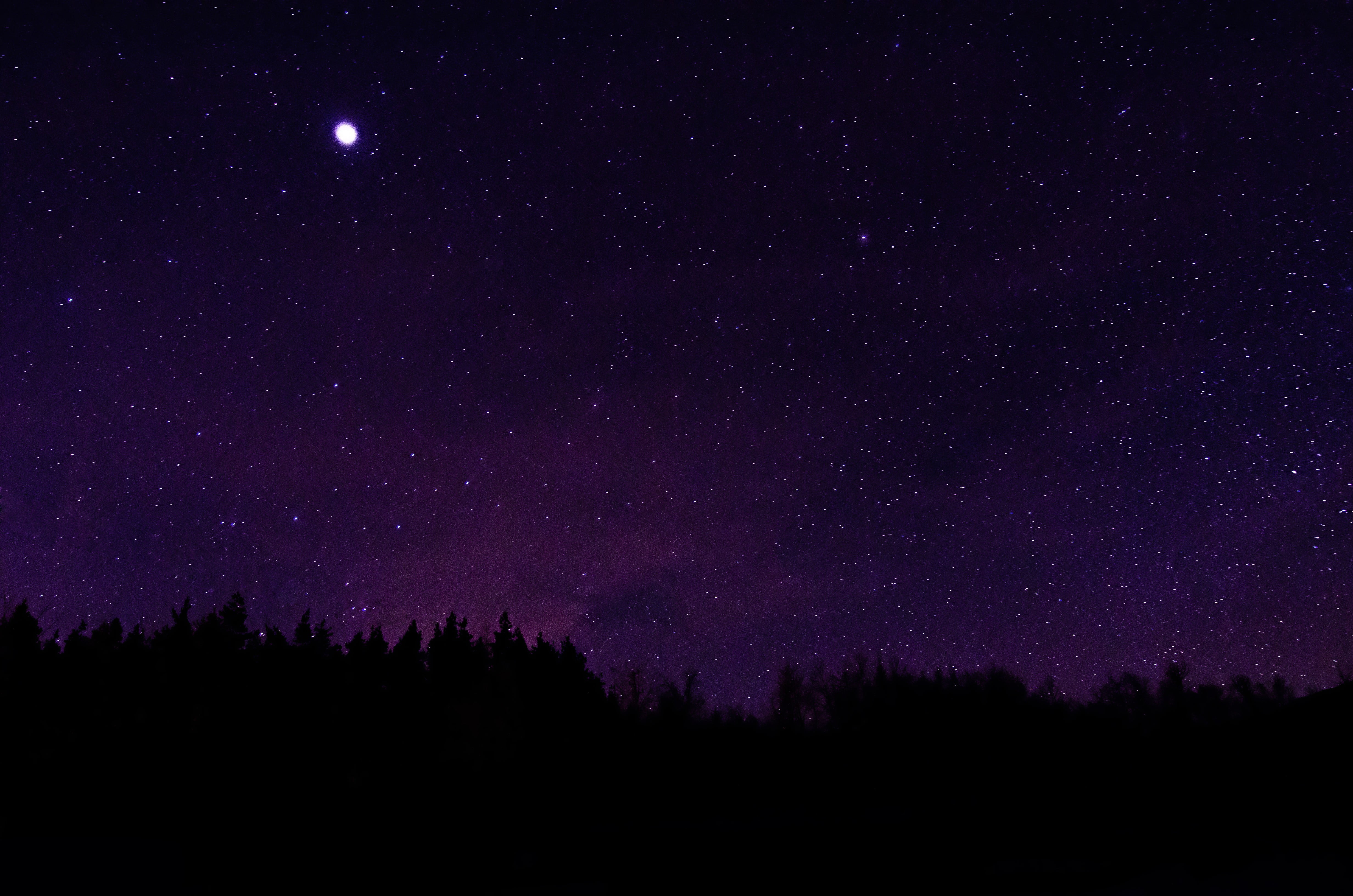 silhouette of trees under starry night, stars, night sky, star - space