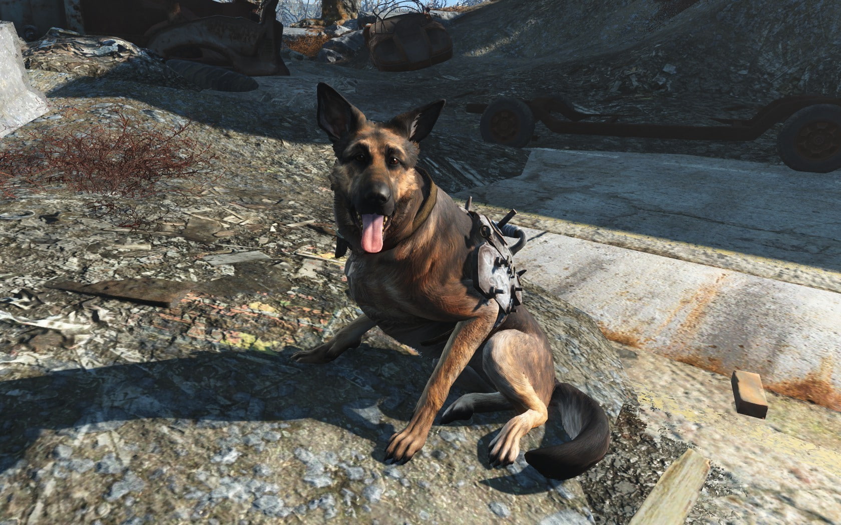 Free download | HD wallpaper: fallout 4 dogmeat video games, one animal ...