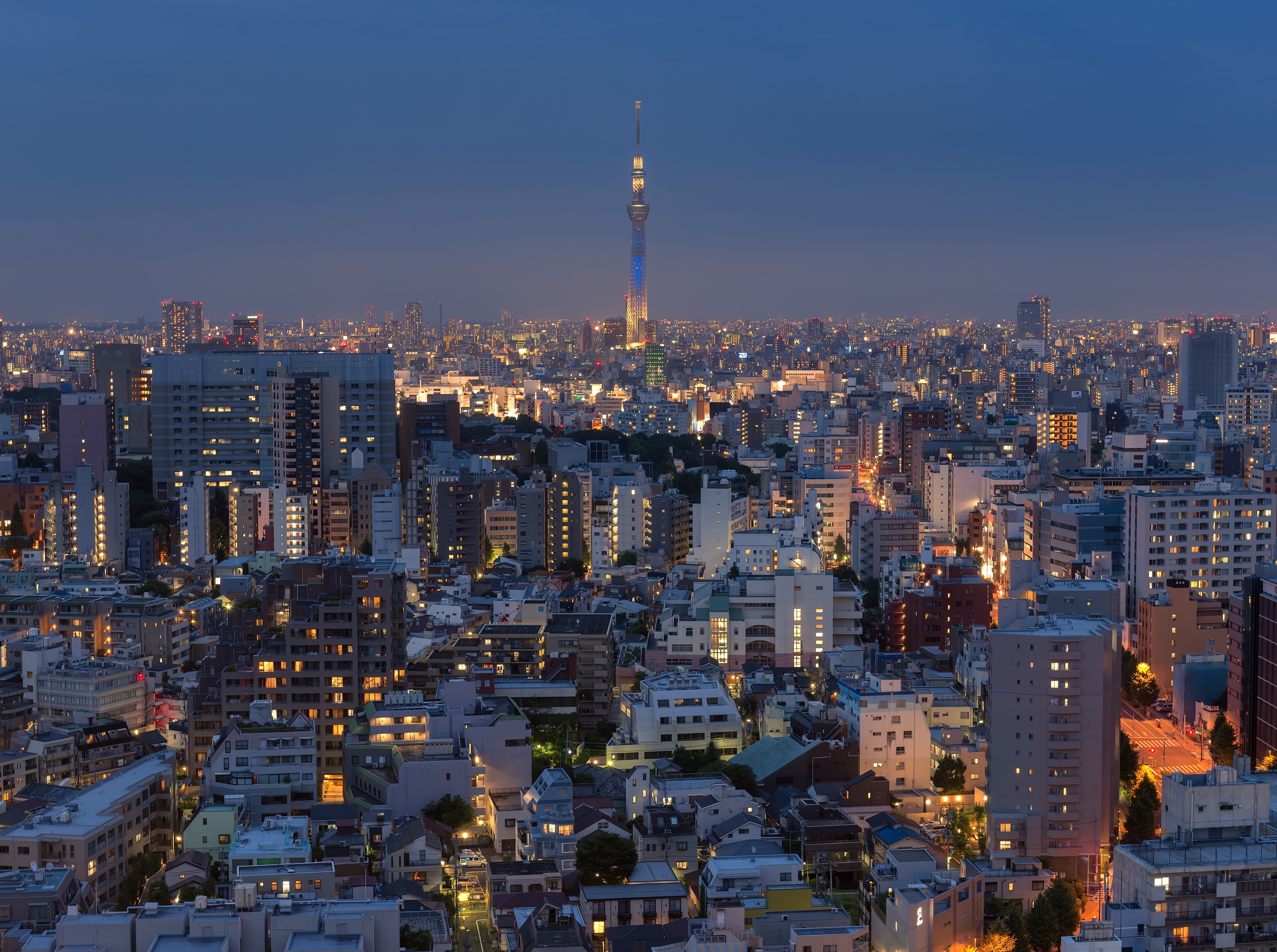 Tokyo City Sunset, high-rise buildings, Lights, Blue, Landscape