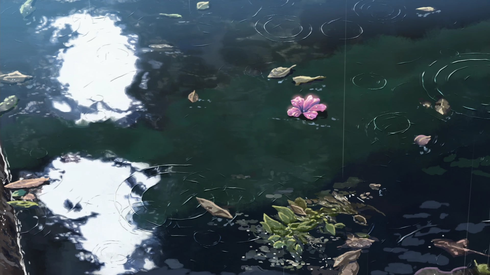 pink petaled flower, rain, The Garden of Words, Makoto Shinkai
