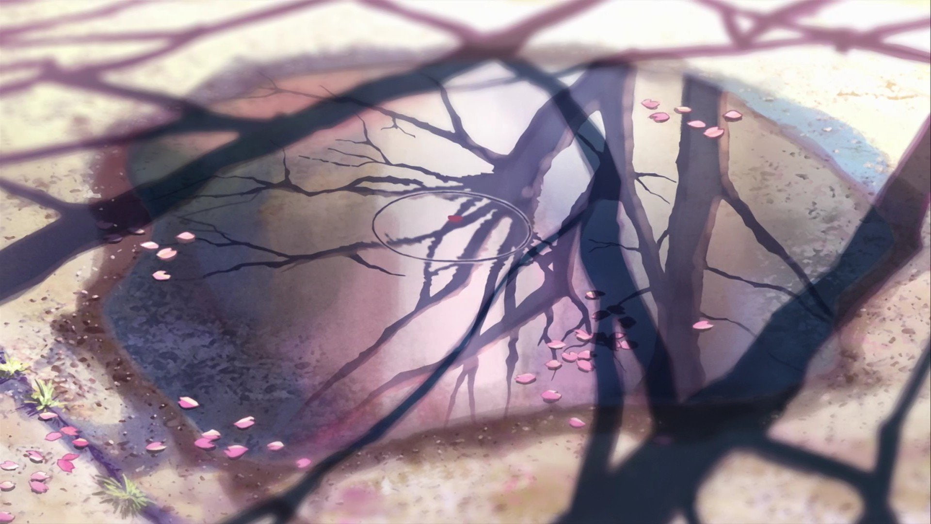 Anime, 5 Centimeters Per Second