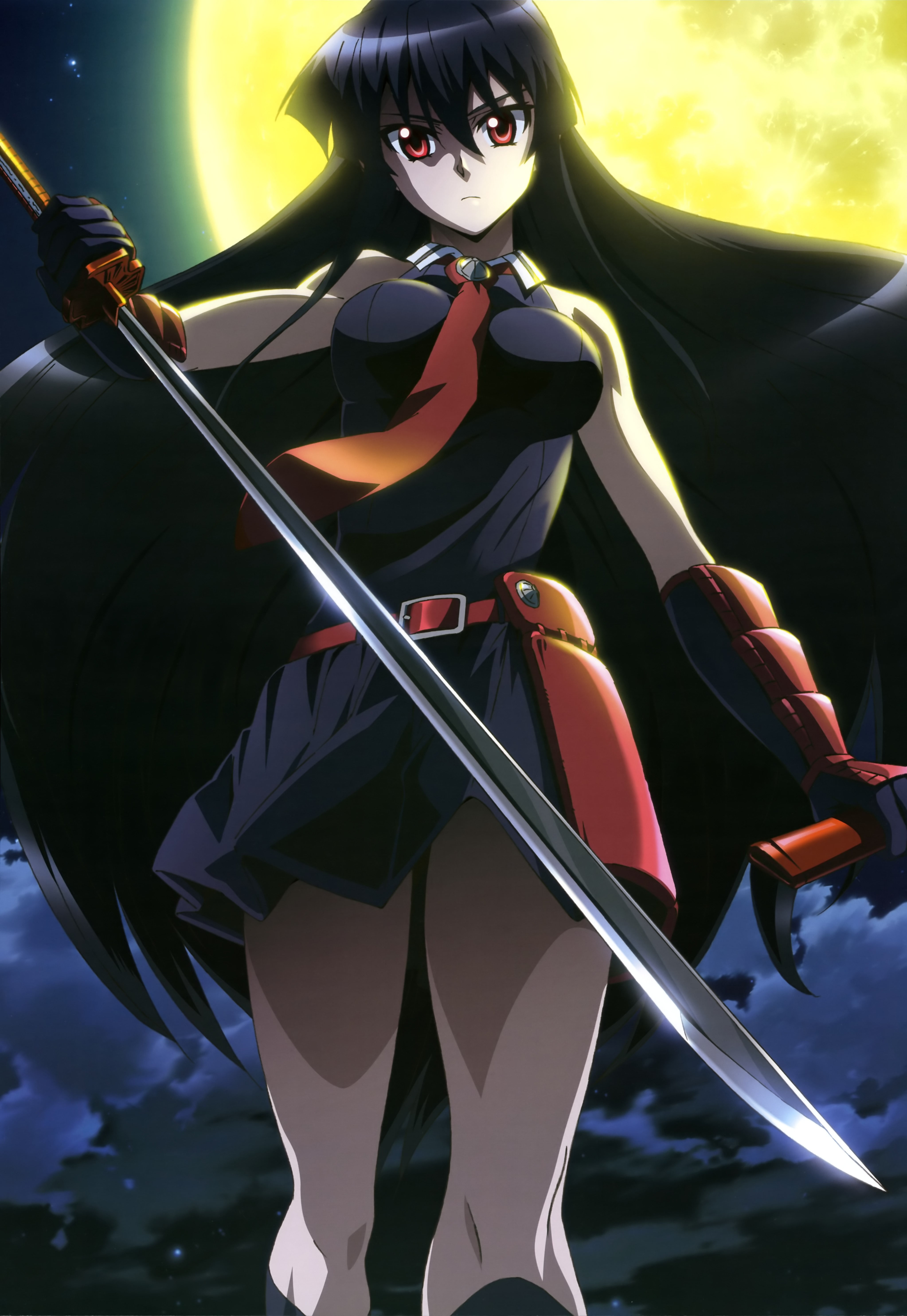 black haired girl anime character illustration, Akame, Akame ga Kill!