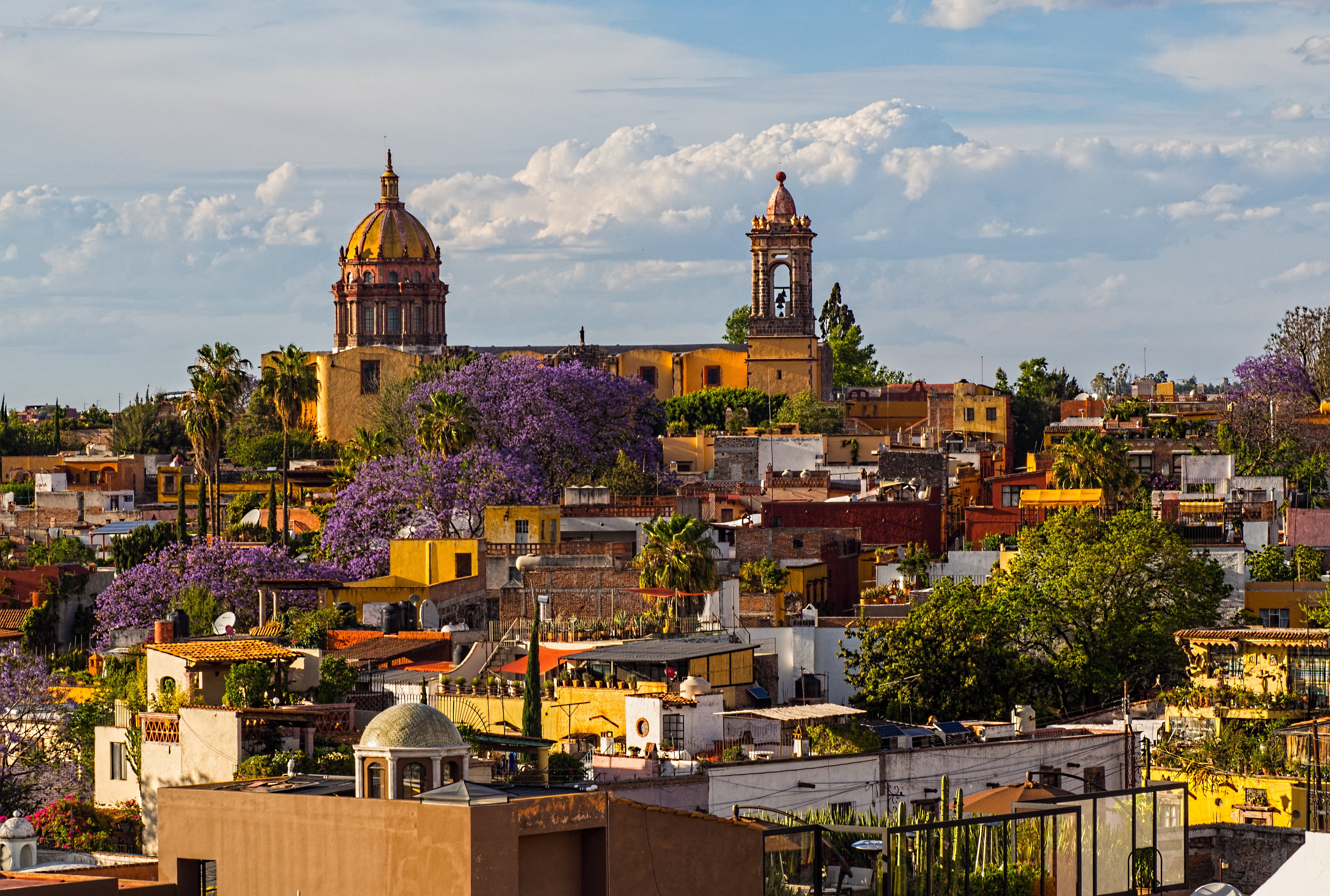 city houses and tall trees during daytime, san miguel allende, san miguel allende
