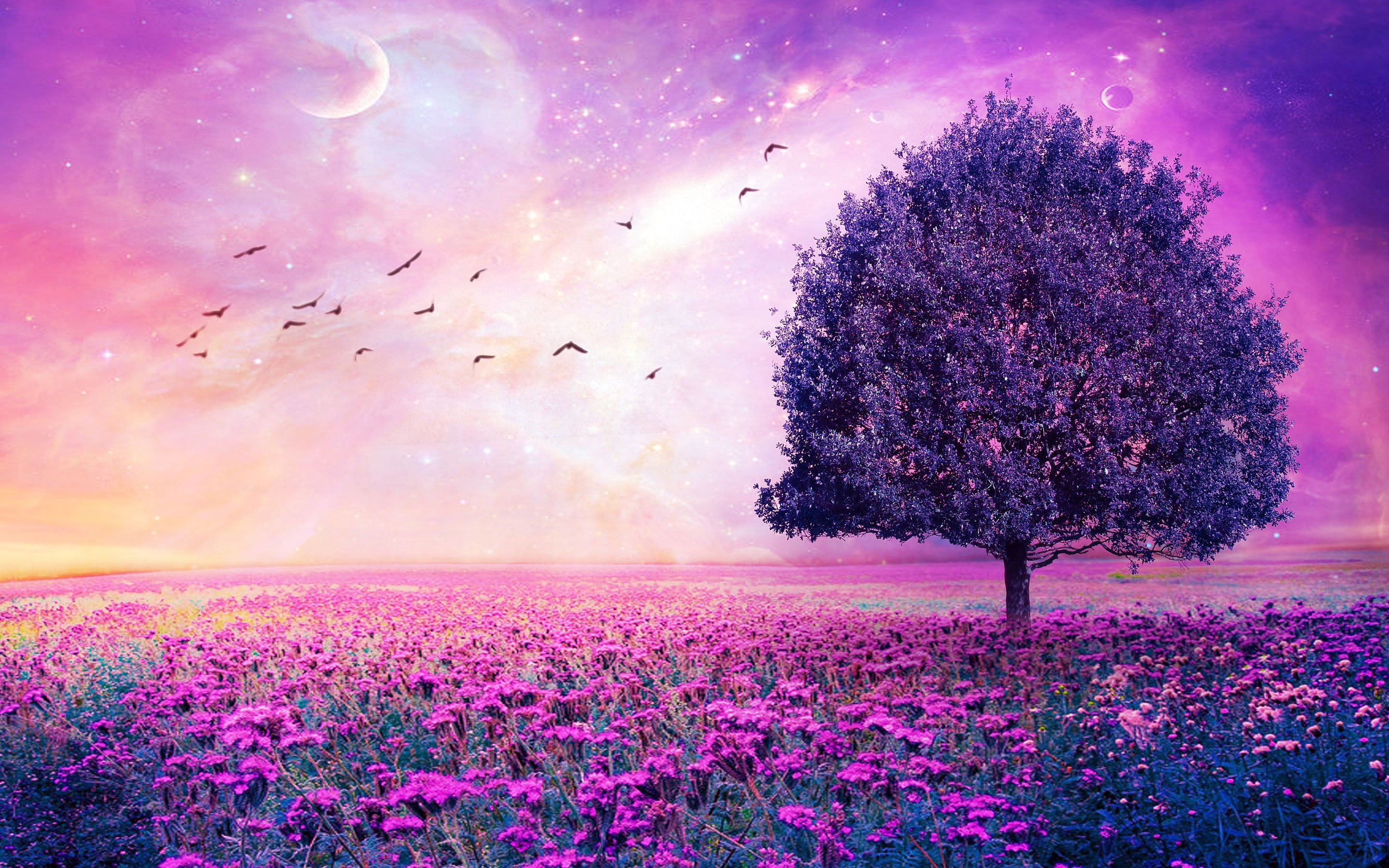 artwork, fantasy, field, flower, lonely, nature, Purple, sky