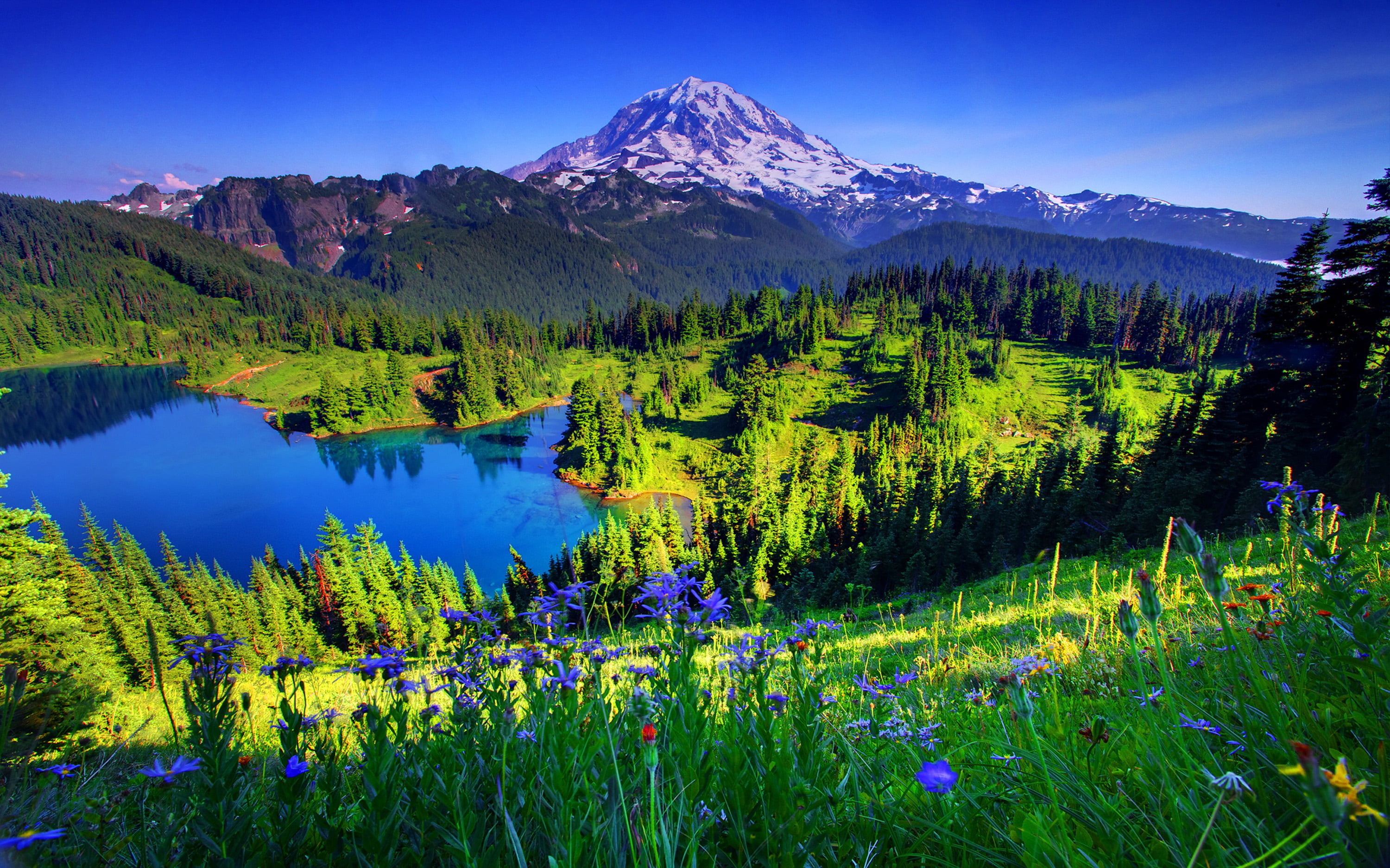 Tolmie Peak Peak Of Mount Rainier In The Cascade Area Of ​​the Us State Of Washington Mowich Lake National Monument Mount Rainier 3000×1875