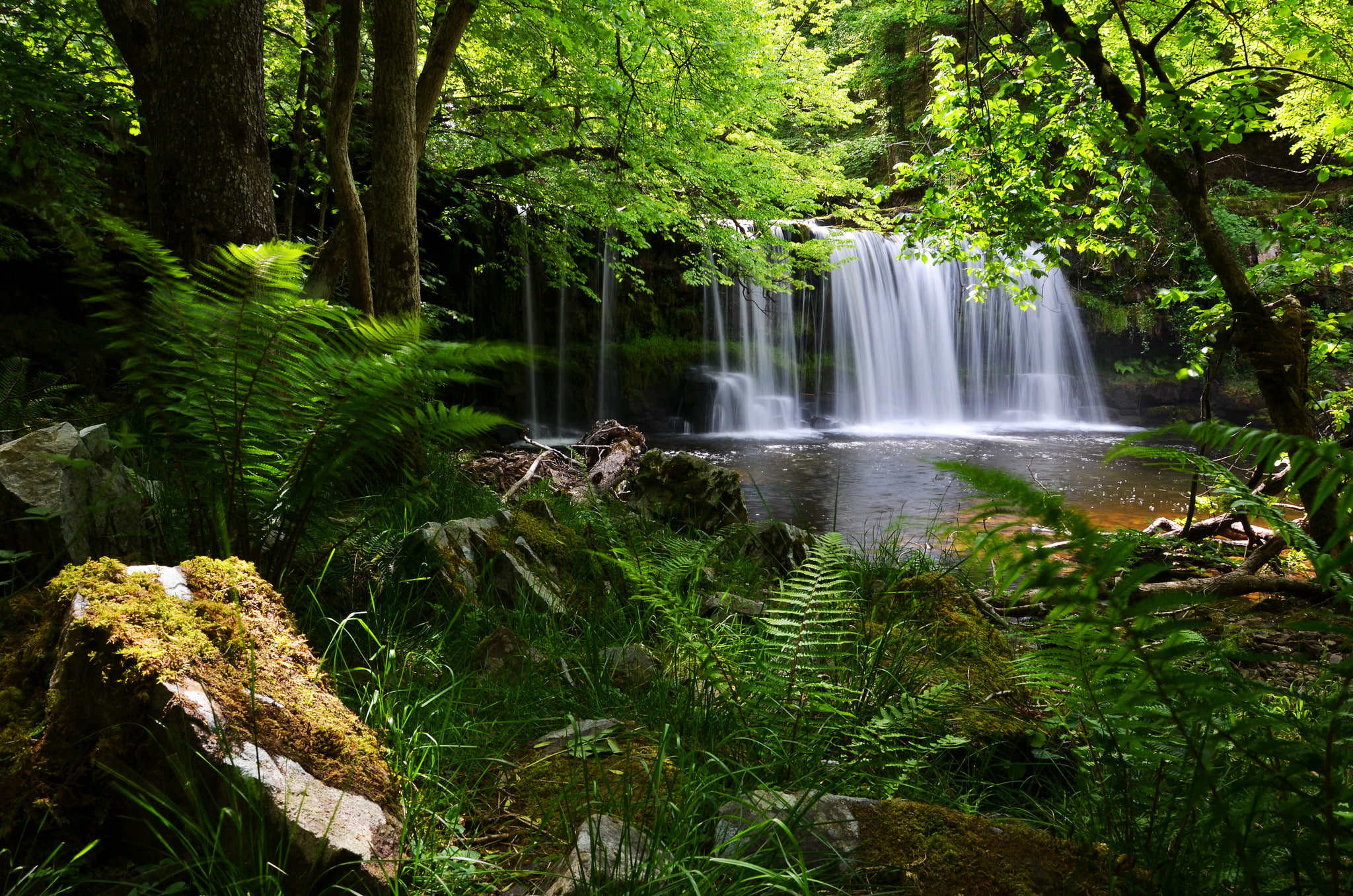 beacons, brecon, england, fern, forest, national, park, waterfall