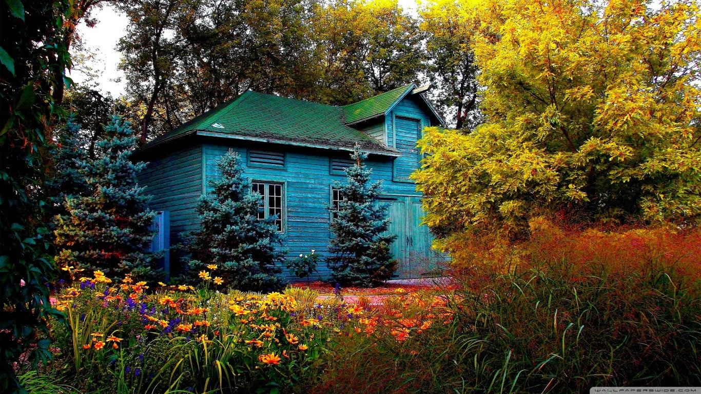 blue wooden house, trees, flowers, plant, architecture, built structure