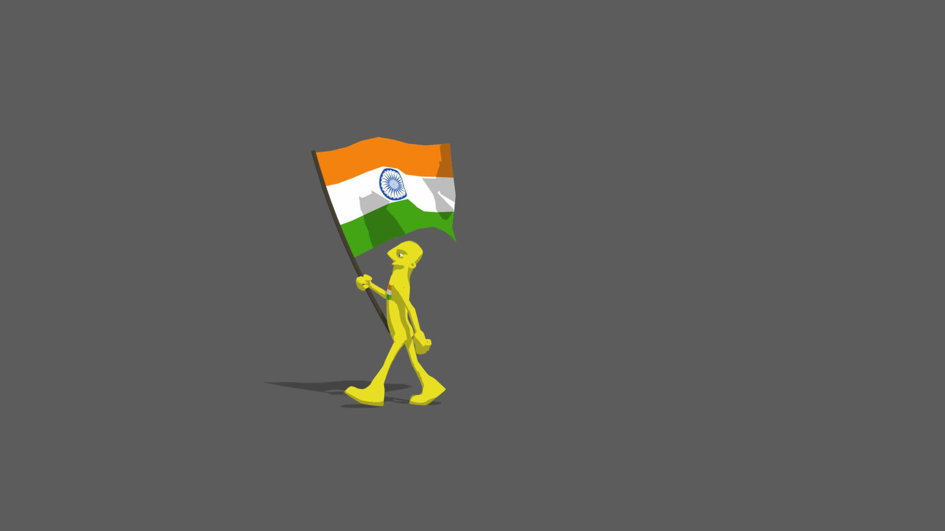 flag, flags, india, indian
