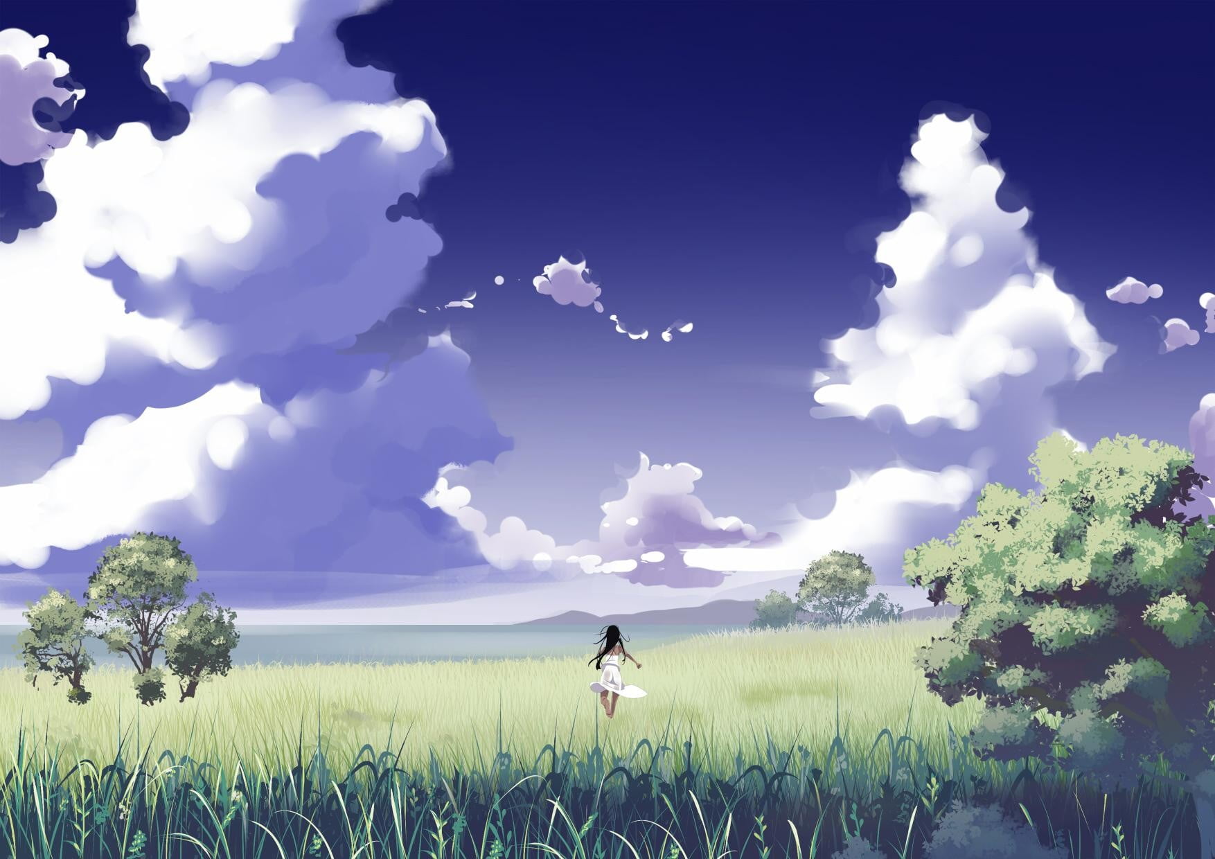 female anime character in the middle of open field, landscape