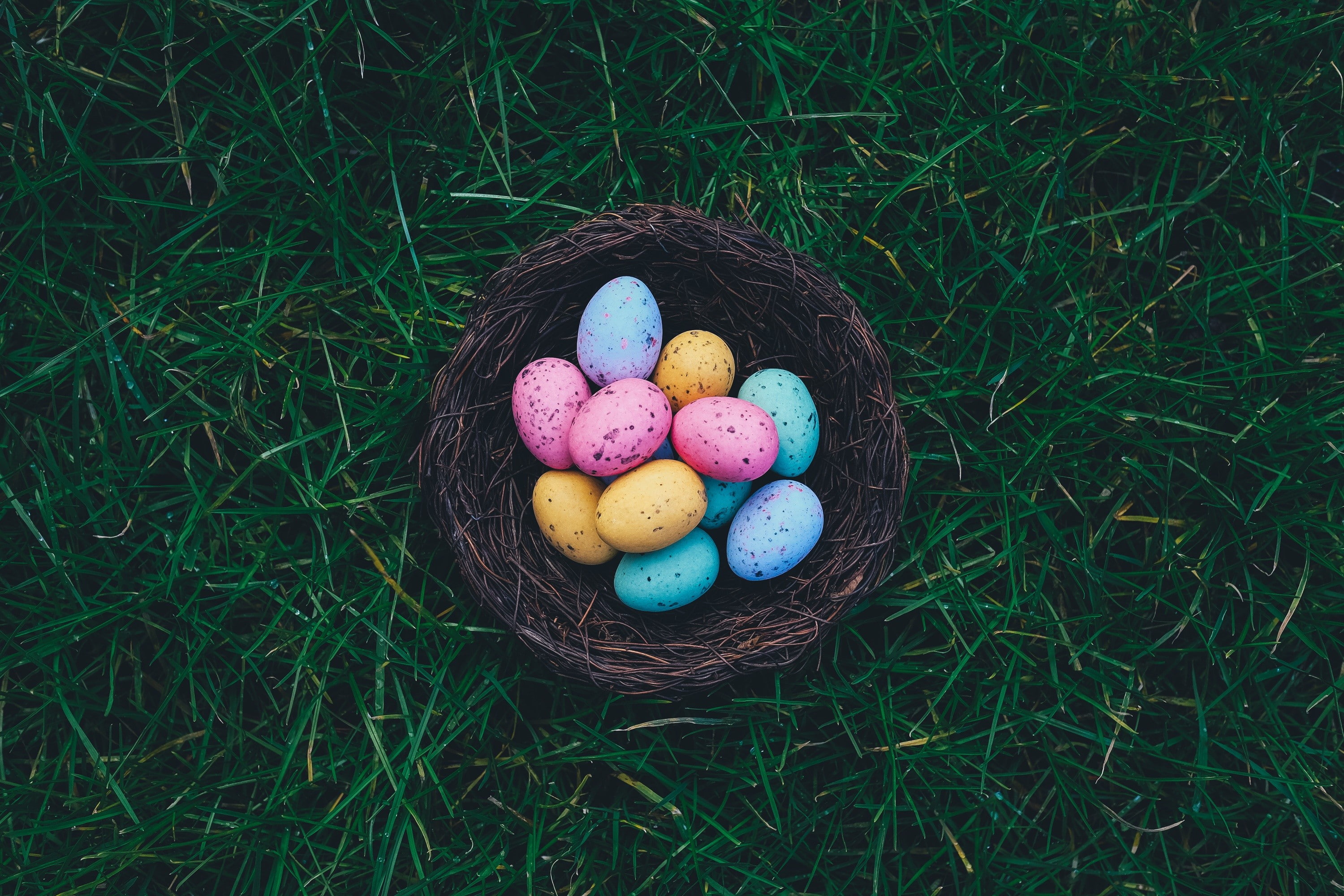 Baskets, Easter, Easter Eggs, grass, Nests