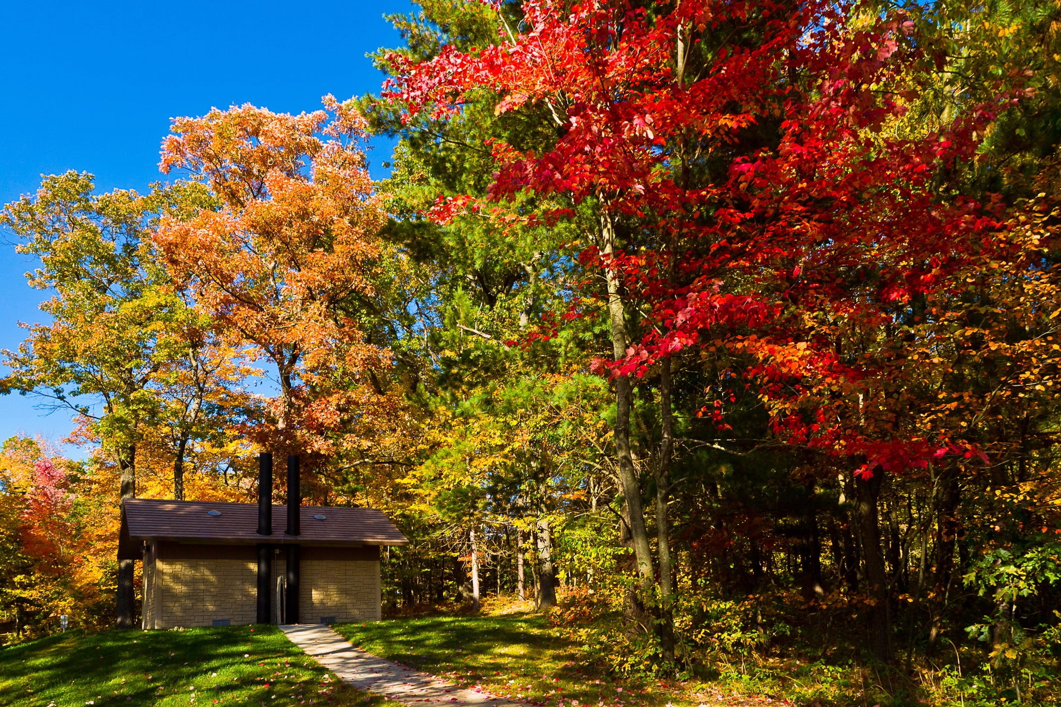 red and yellow leafed trees, wisconsin, leyk mils, lodge, wood