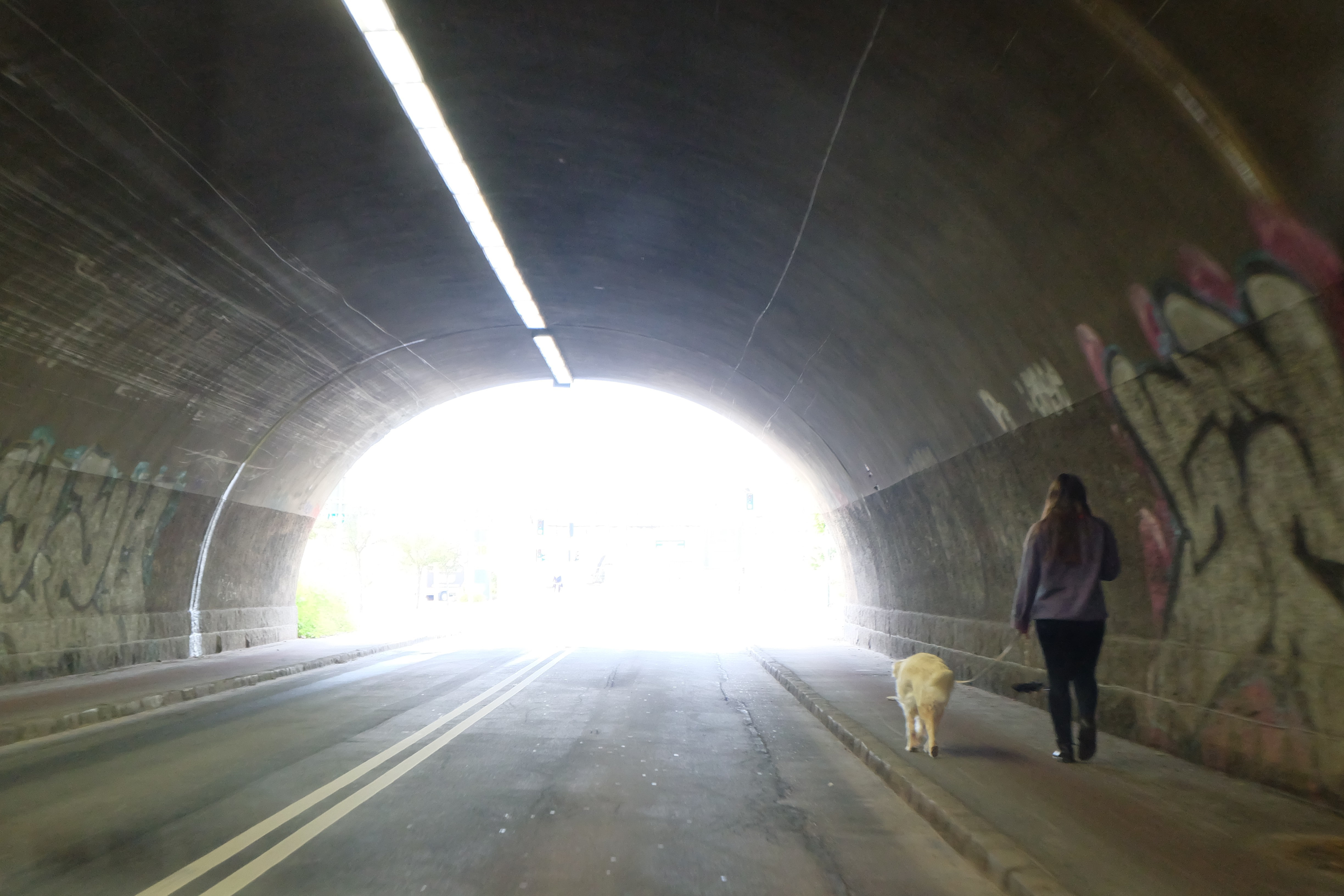 Tunnel, Pedestrian, Dog