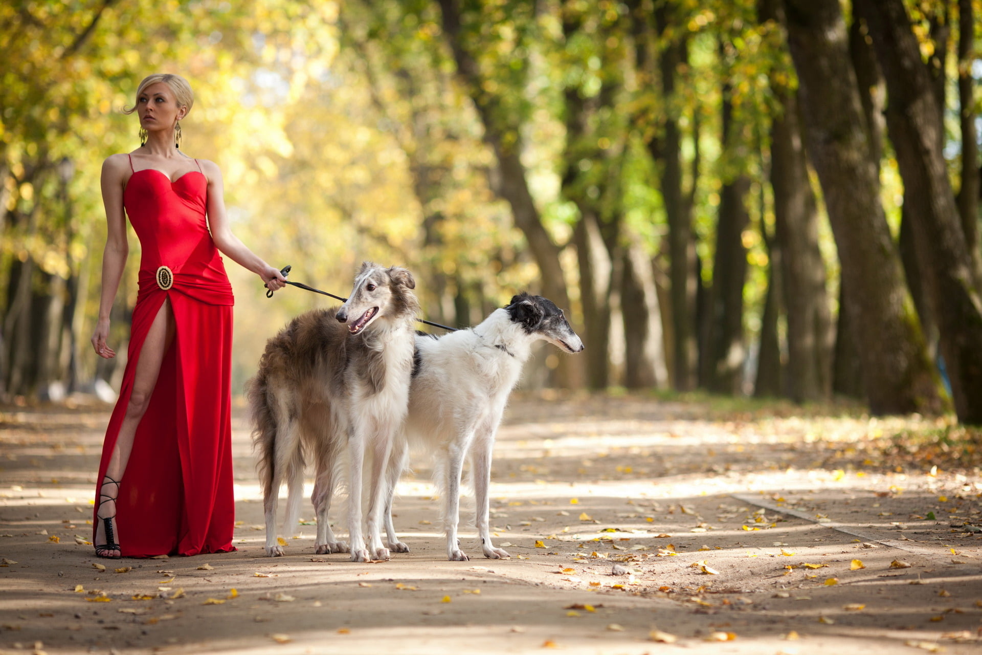 women's red spaghetti-strap dress, girl, Park, dog, walk, outdoors