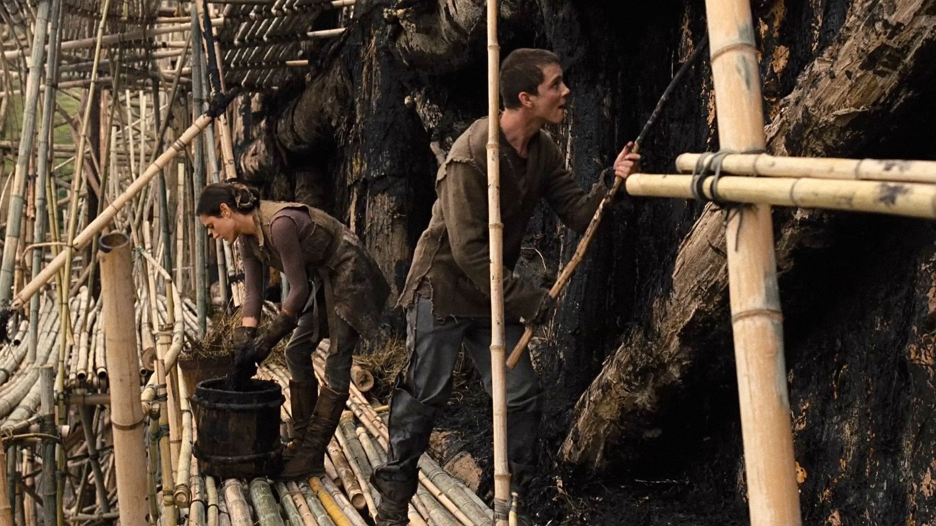 noah