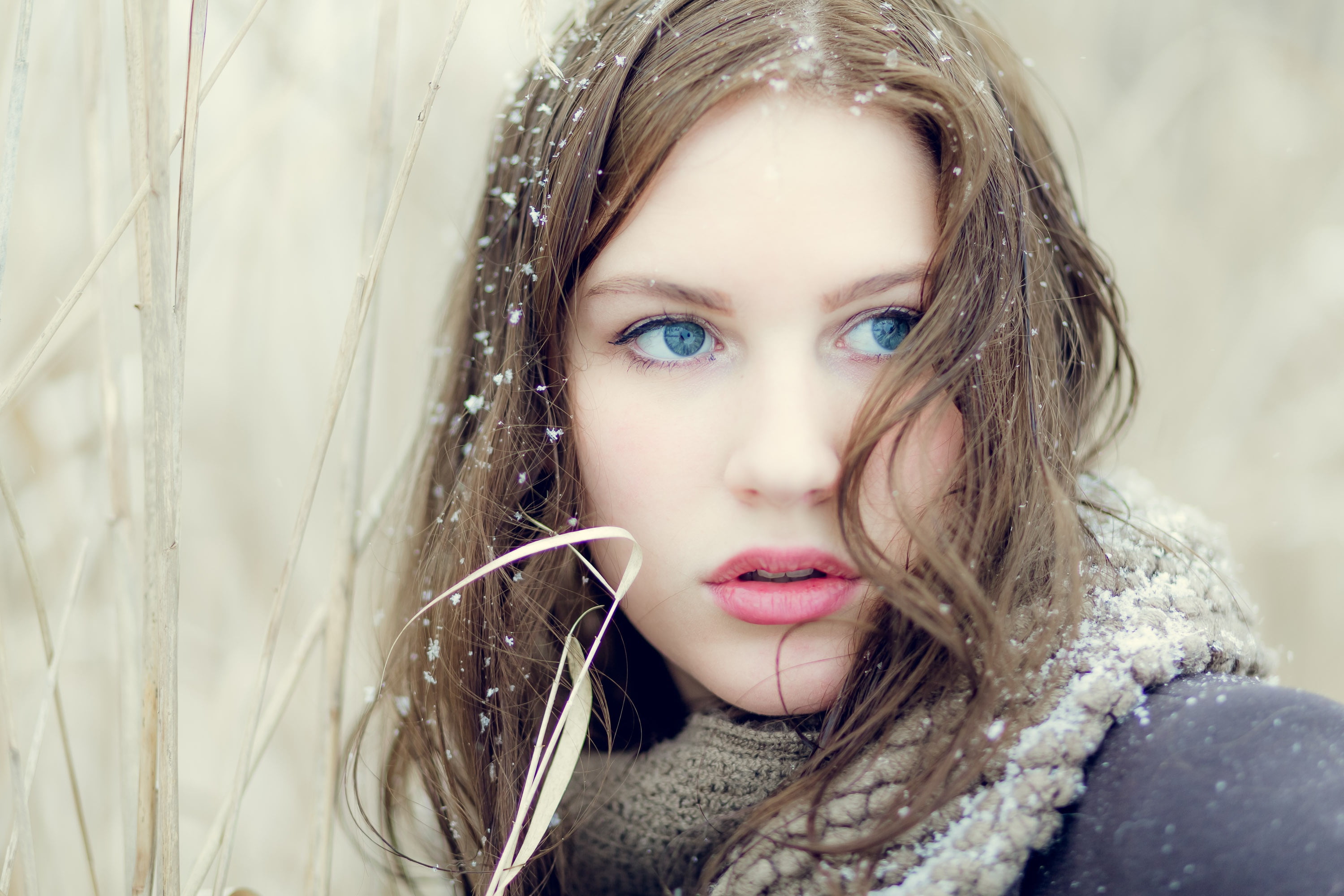 look, snow, model, Ana-Carolina