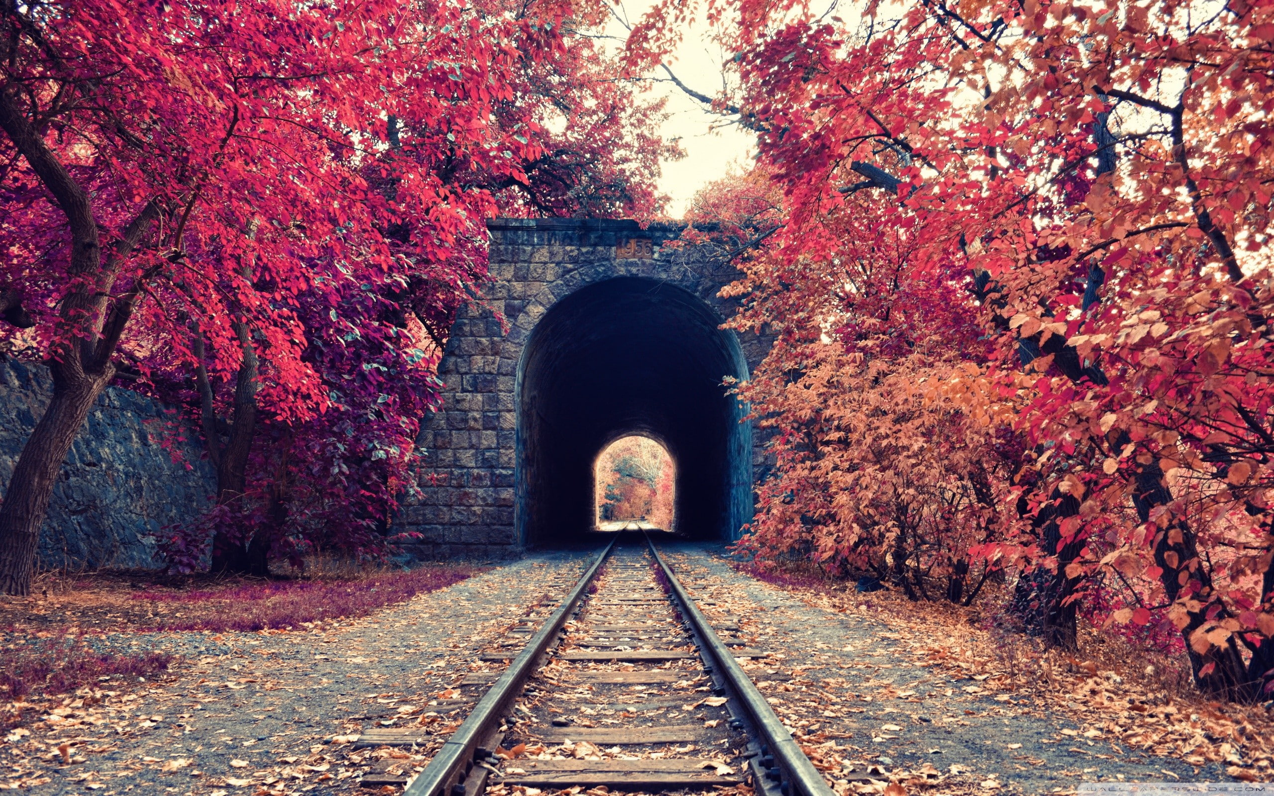 tunnel, trees, fall, railway, Armenia