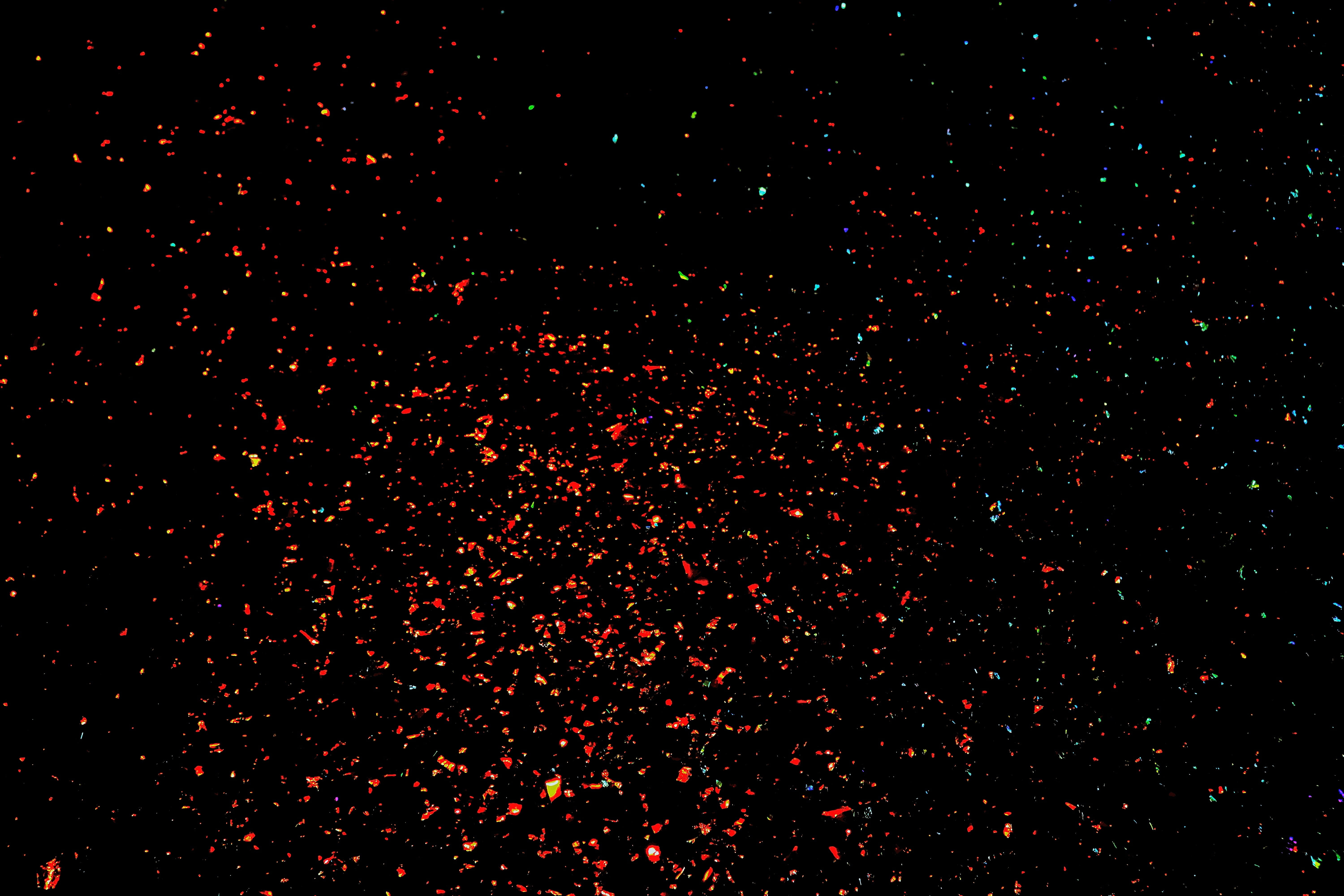 sparkle, light, glitter, backgrounds, abstract, night, black Color